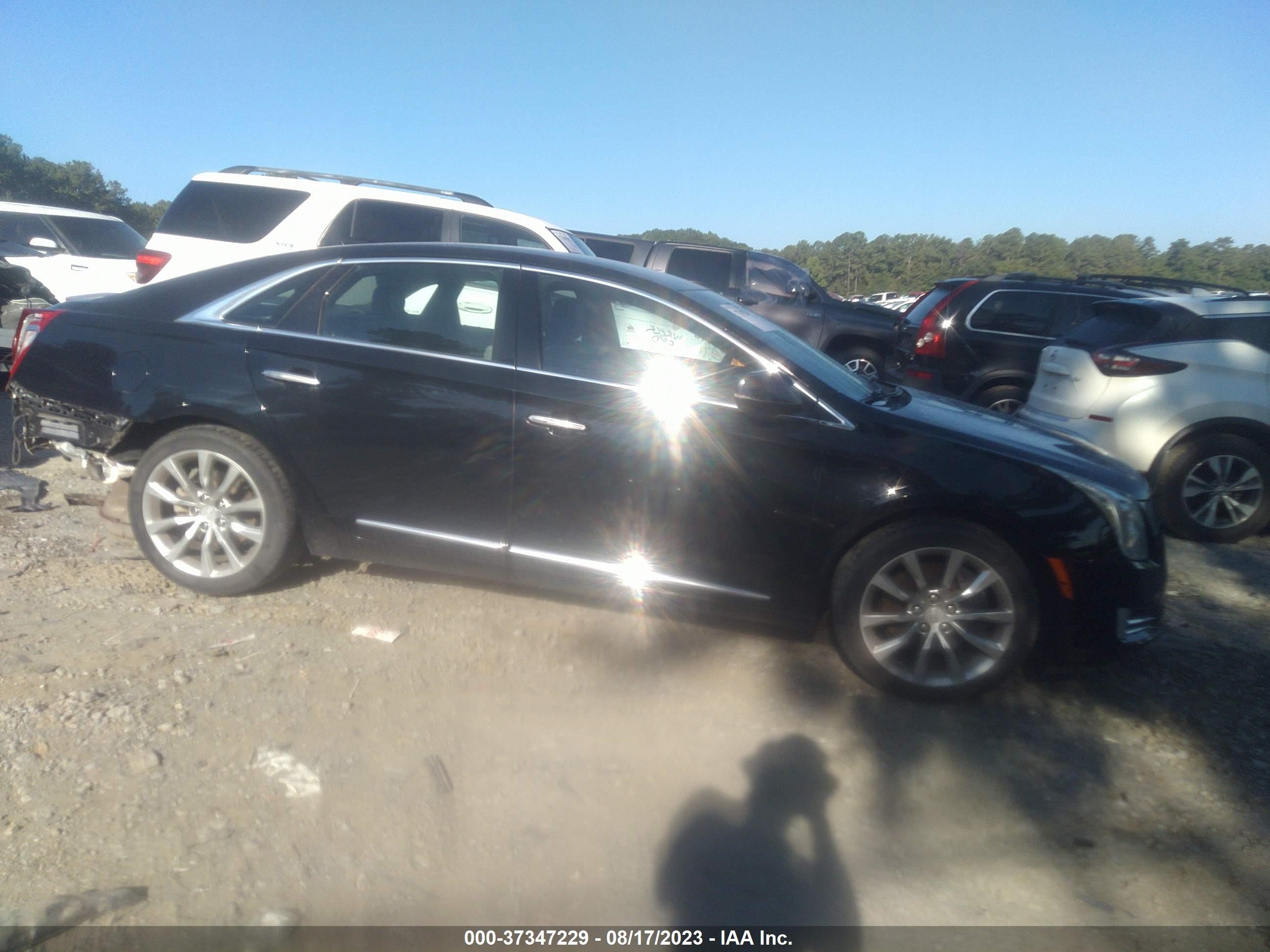 Photo 12 VIN: 2G61M5S33H9116648 - CADILLAC XTS 