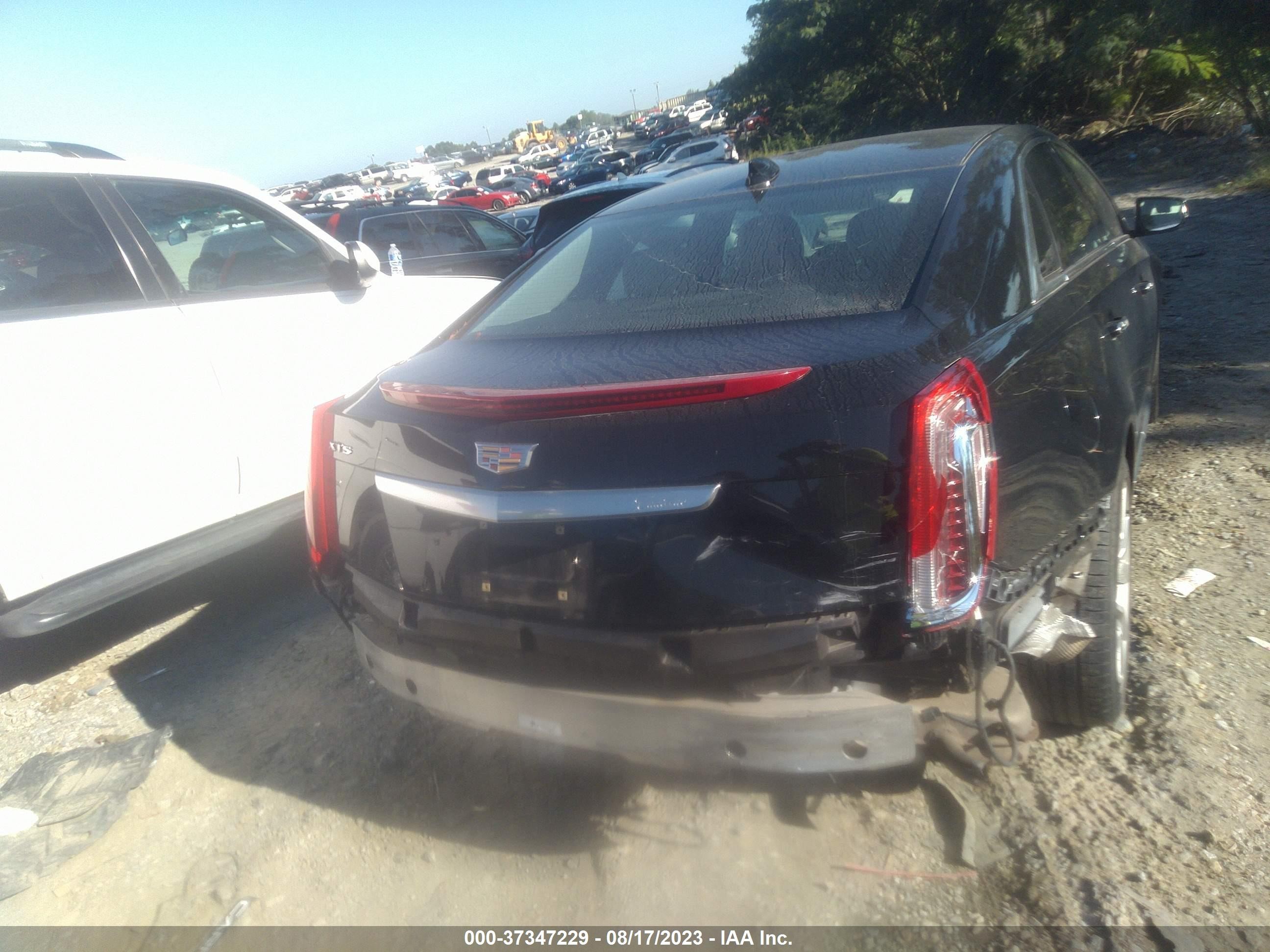 Photo 15 VIN: 2G61M5S33H9116648 - CADILLAC XTS 