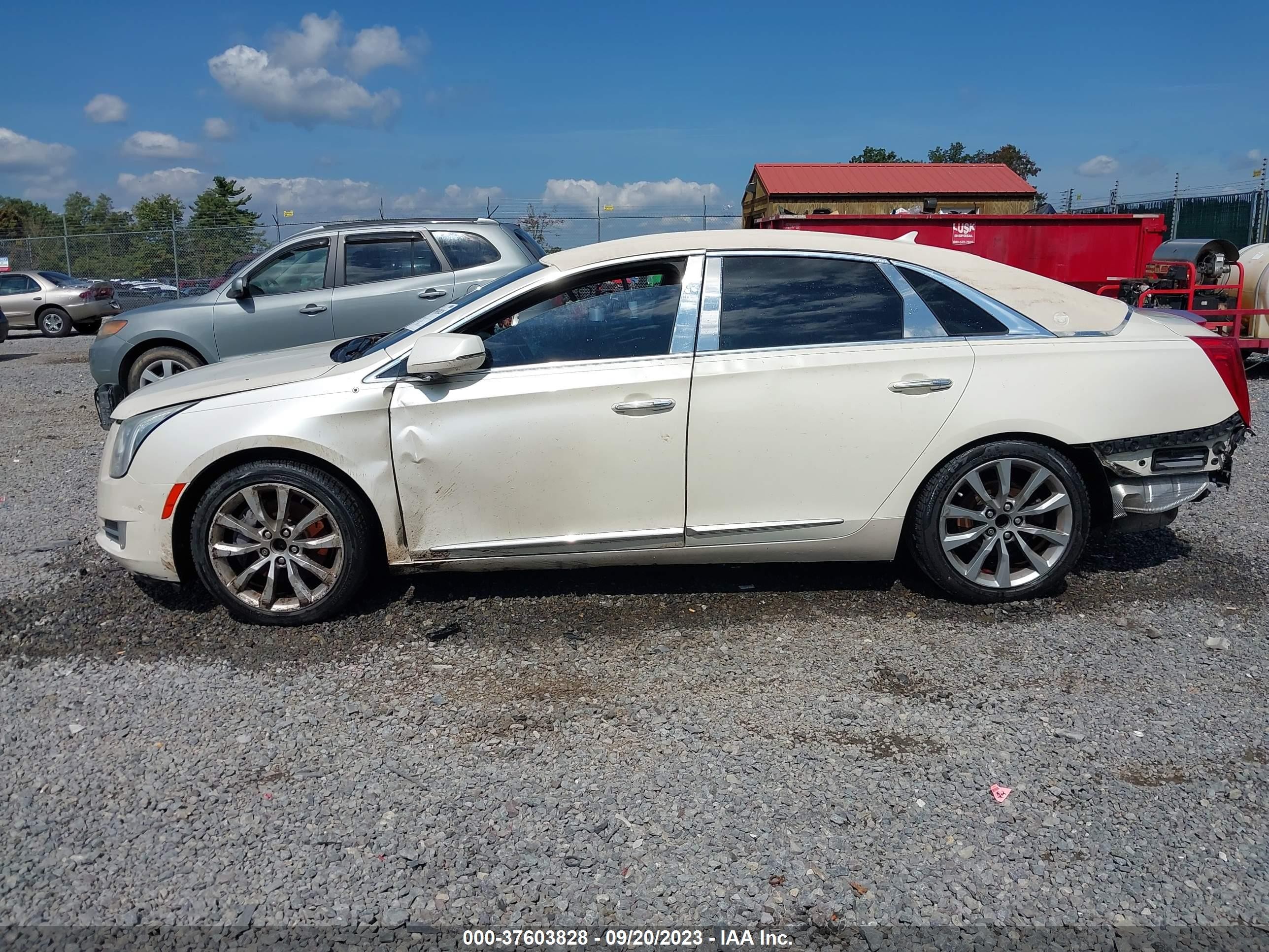 Photo 13 VIN: 2G61M5S34E9119845 - CADILLAC XTS 