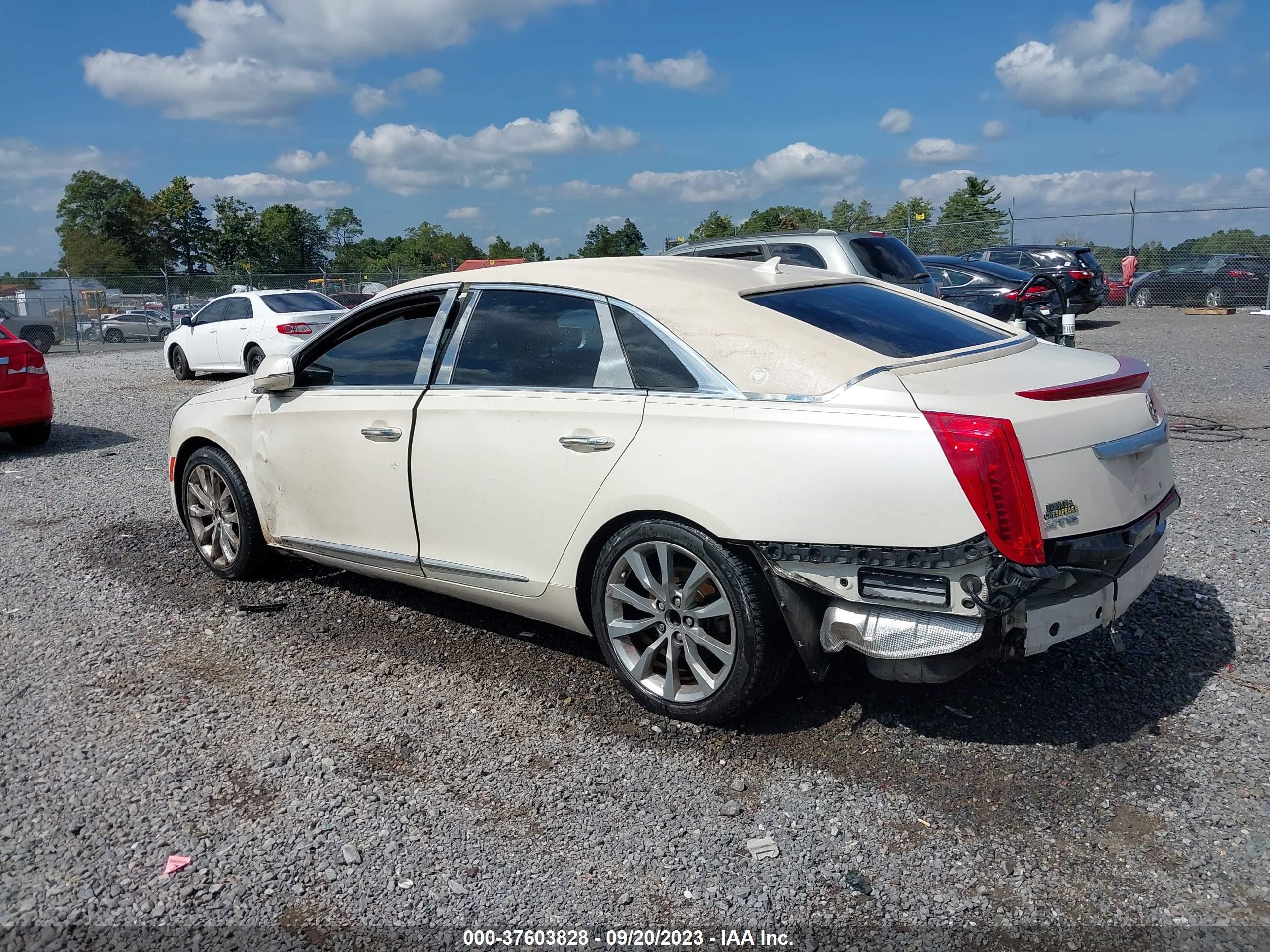 Photo 2 VIN: 2G61M5S34E9119845 - CADILLAC XTS 