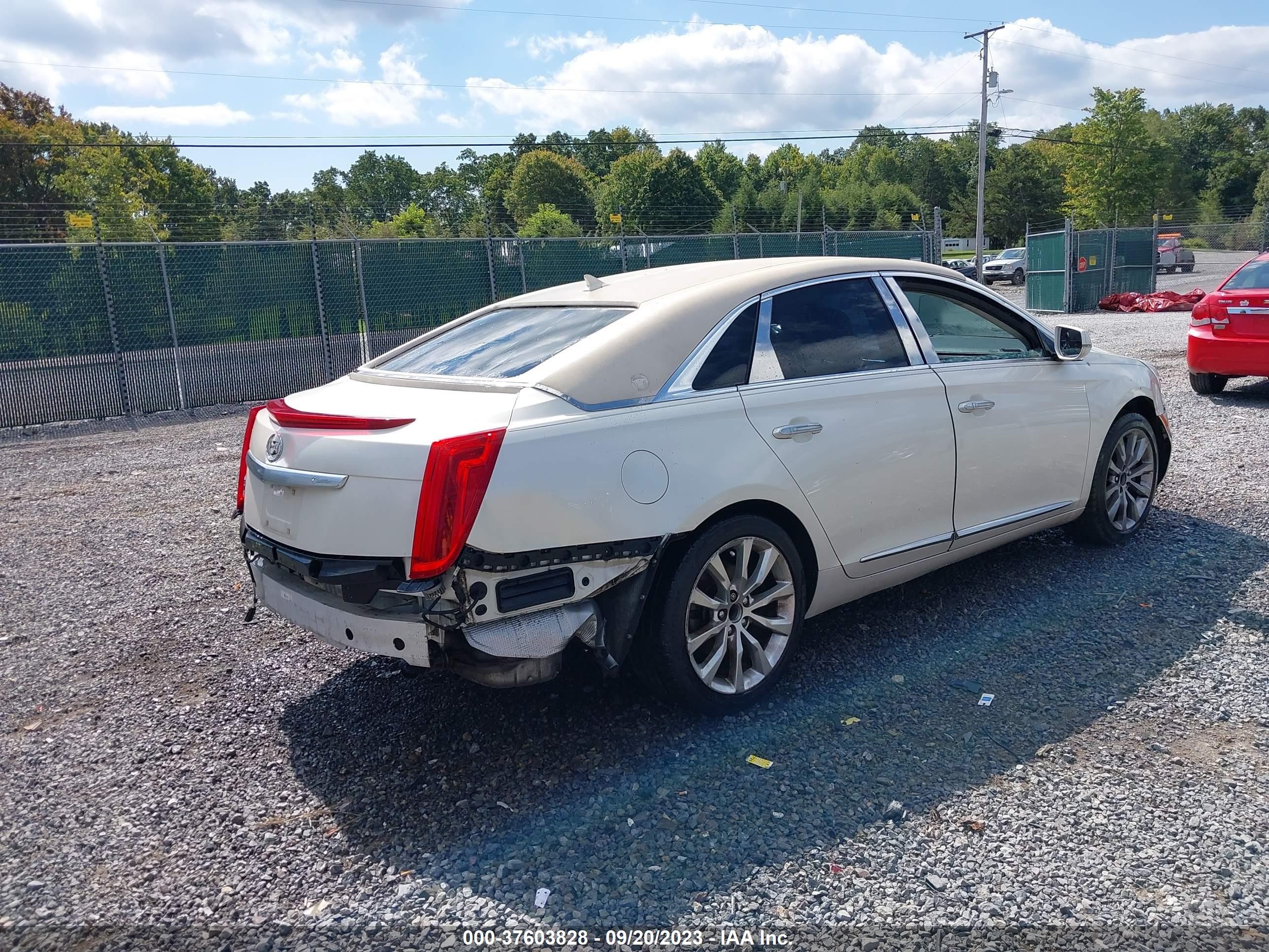 Photo 3 VIN: 2G61M5S34E9119845 - CADILLAC XTS 