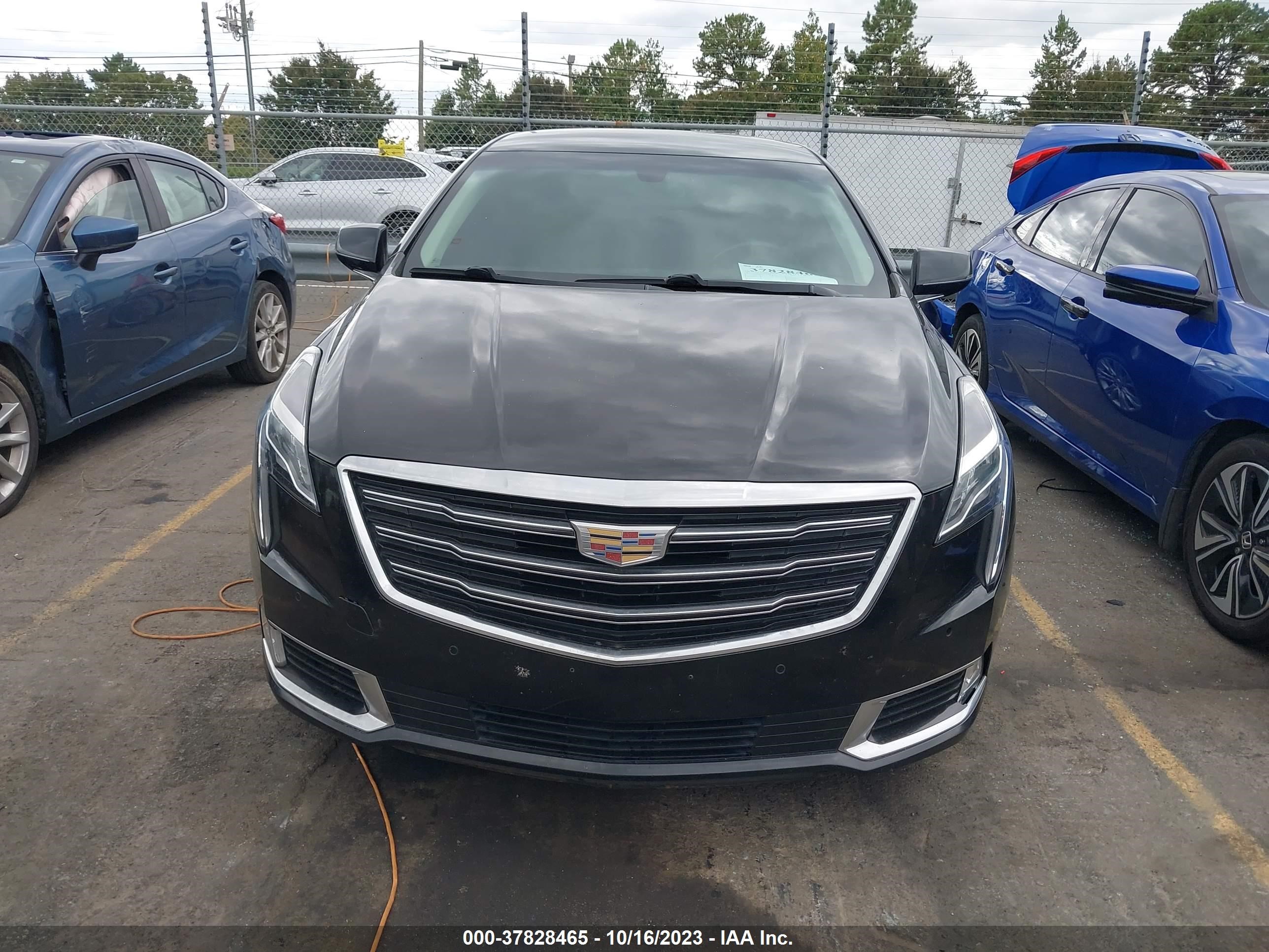 Photo 12 VIN: 2G61M5S38K9153783 - CADILLAC XTS 