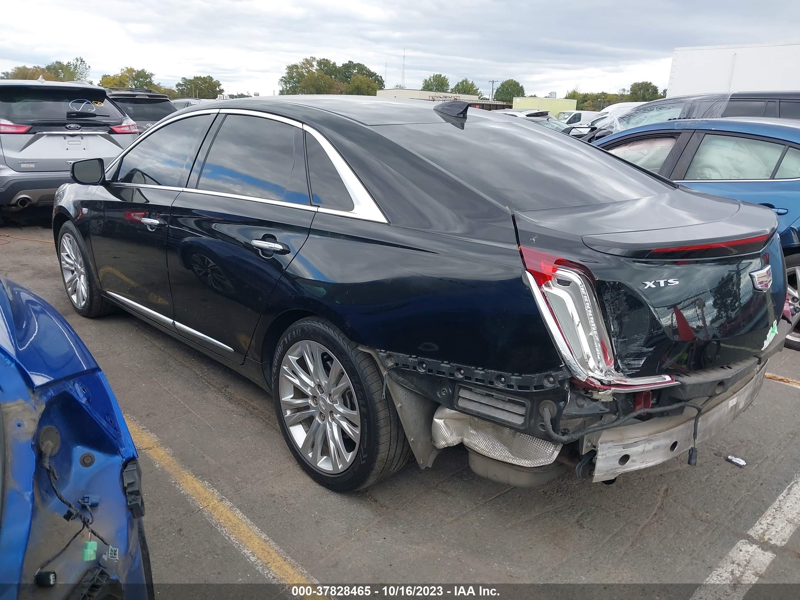 Photo 2 VIN: 2G61M5S38K9153783 - CADILLAC XTS 