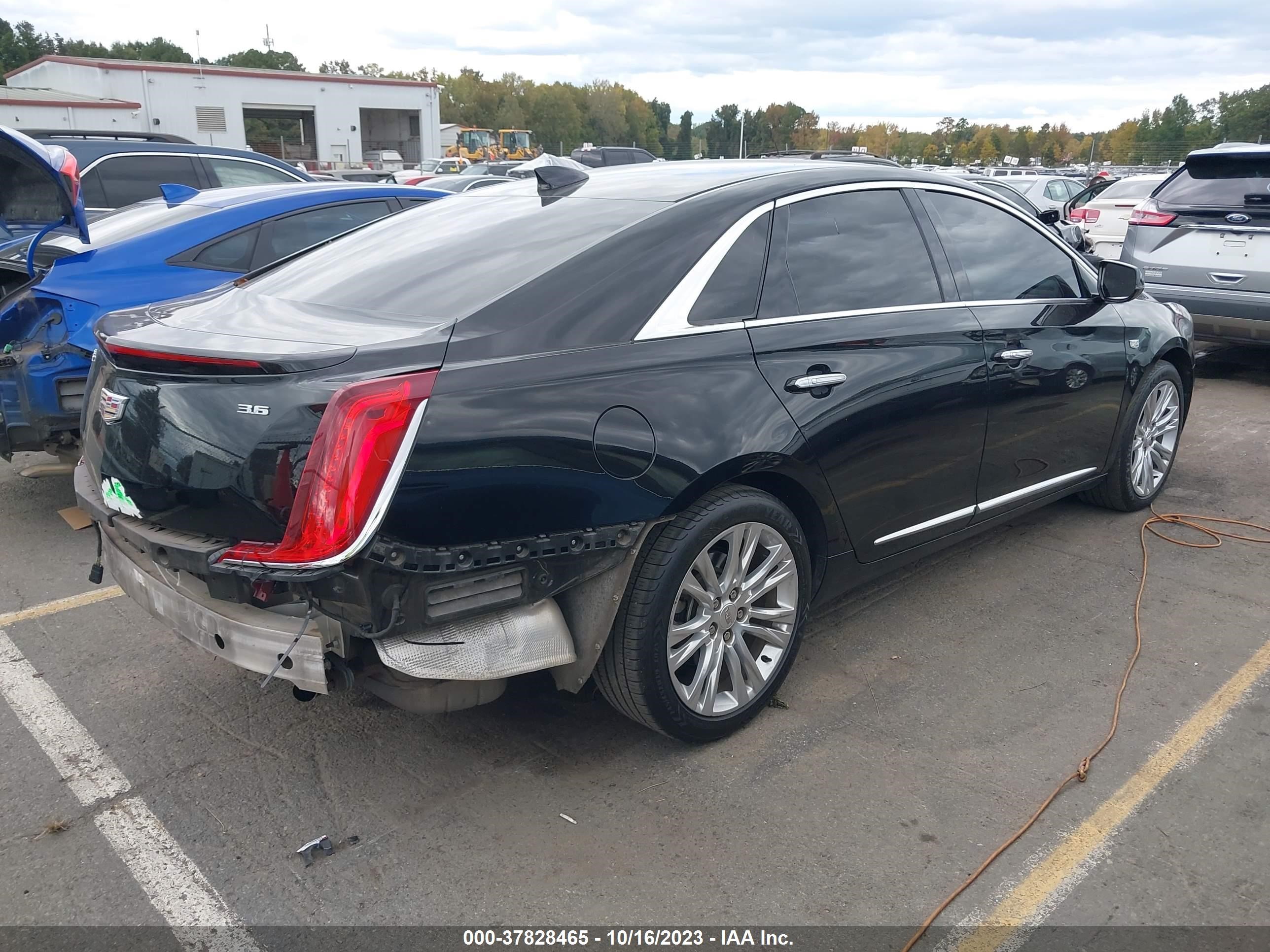 Photo 3 VIN: 2G61M5S38K9153783 - CADILLAC XTS 