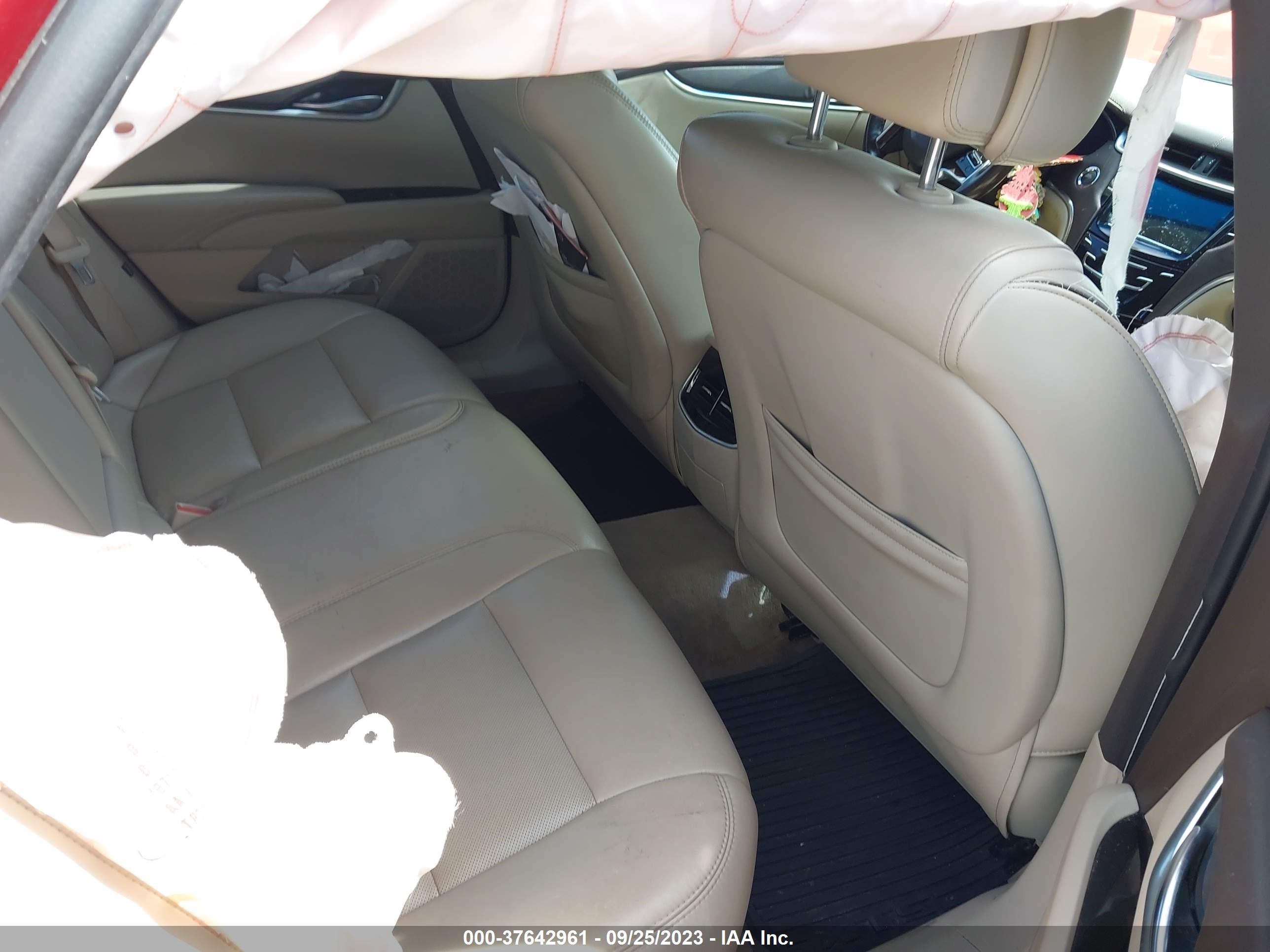 Photo 7 VIN: 2G61N5S36D9163258 - CADILLAC XTS 