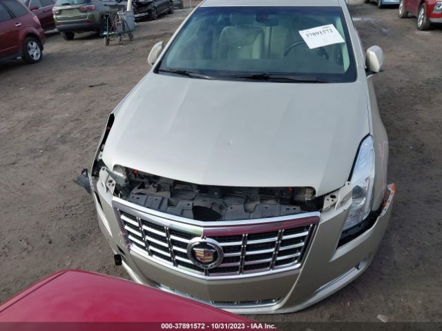 Photo 5 VIN: 2G61N5S36E9124414 - CADILLAC XTS 