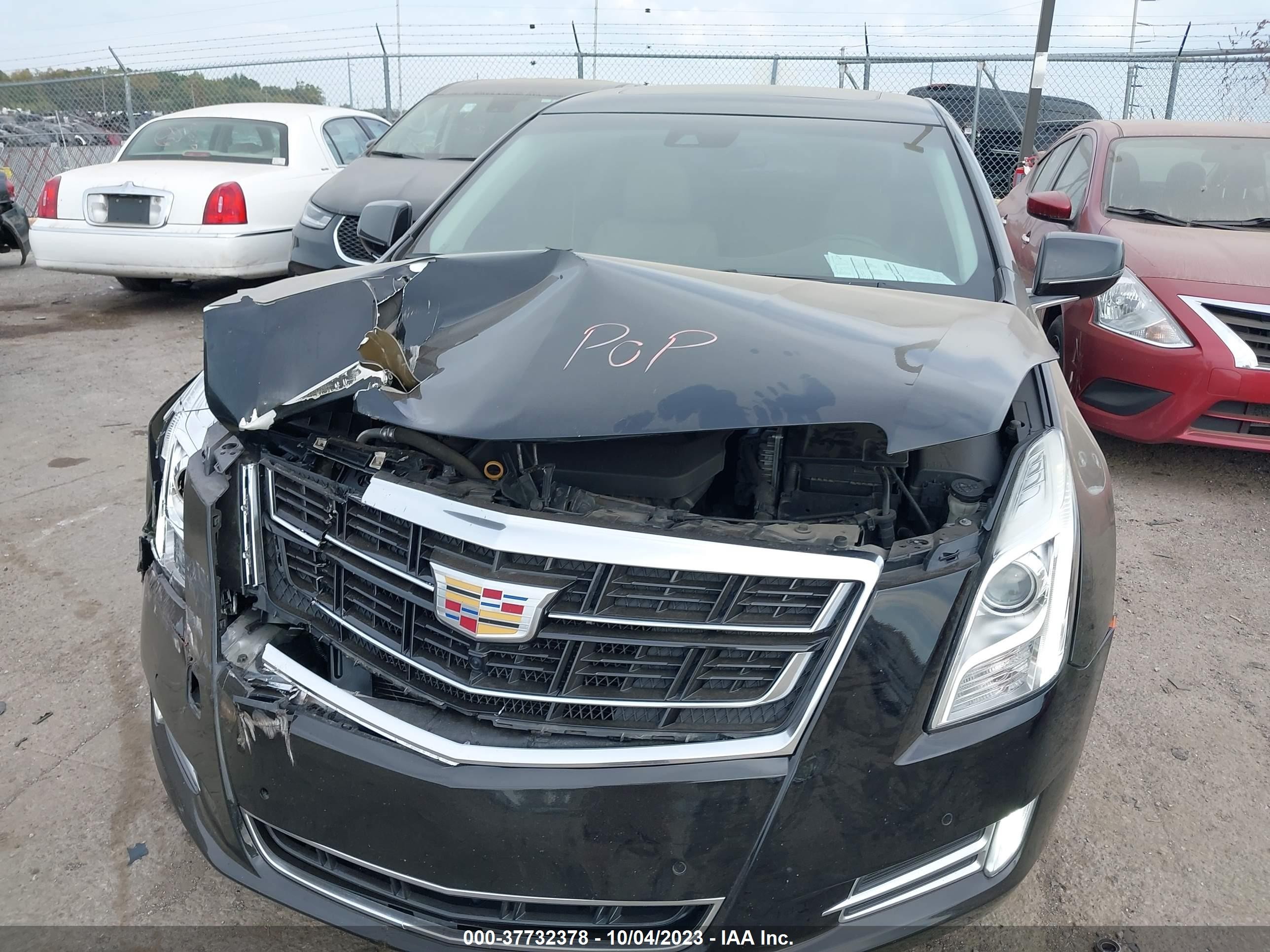 Photo 11 VIN: 2G61N5S39G9100692 - CADILLAC XTS 