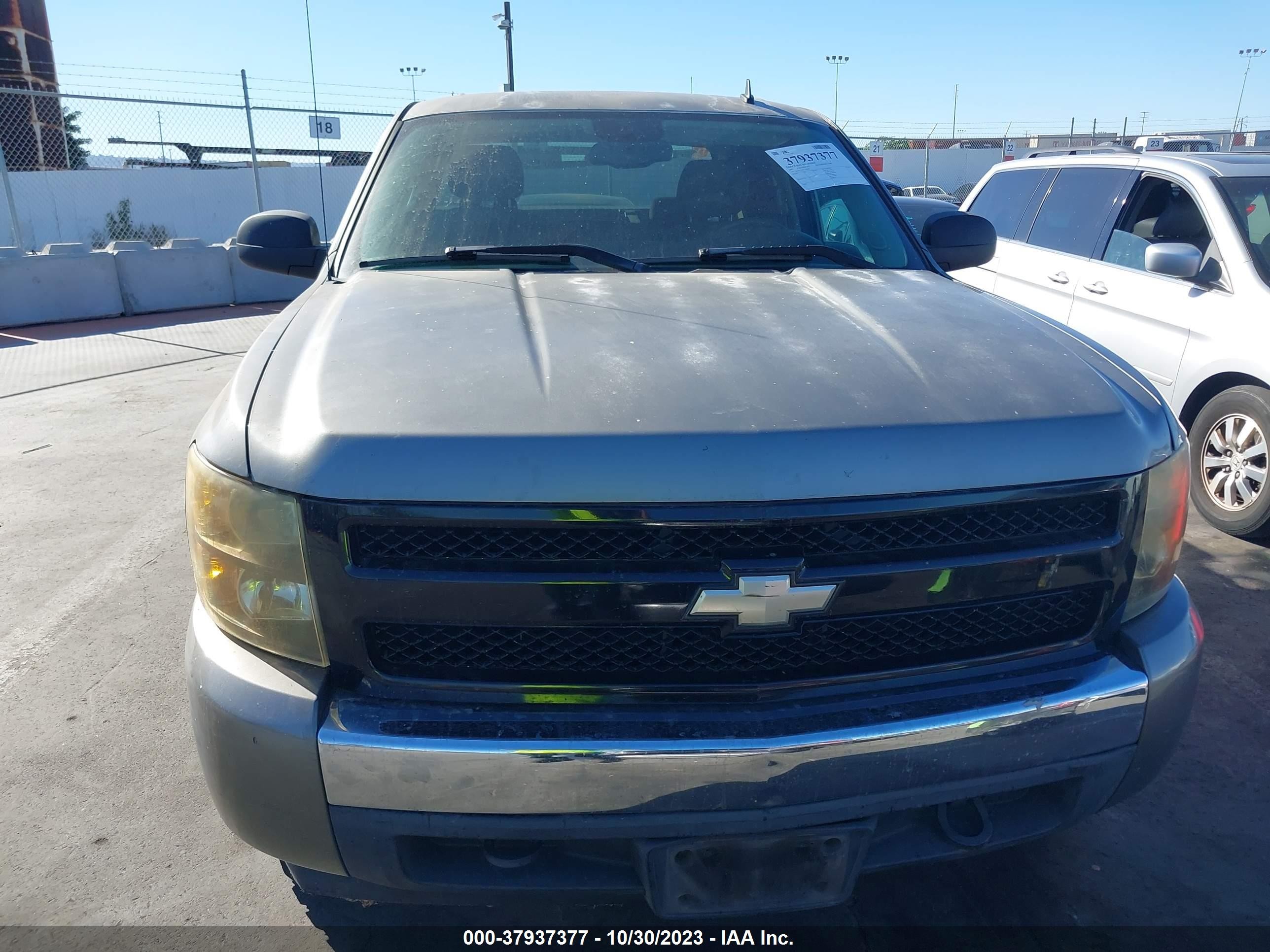 Photo 11 VIN: 2GCEC13J671549868 - CHEVROLET SILVERADO 