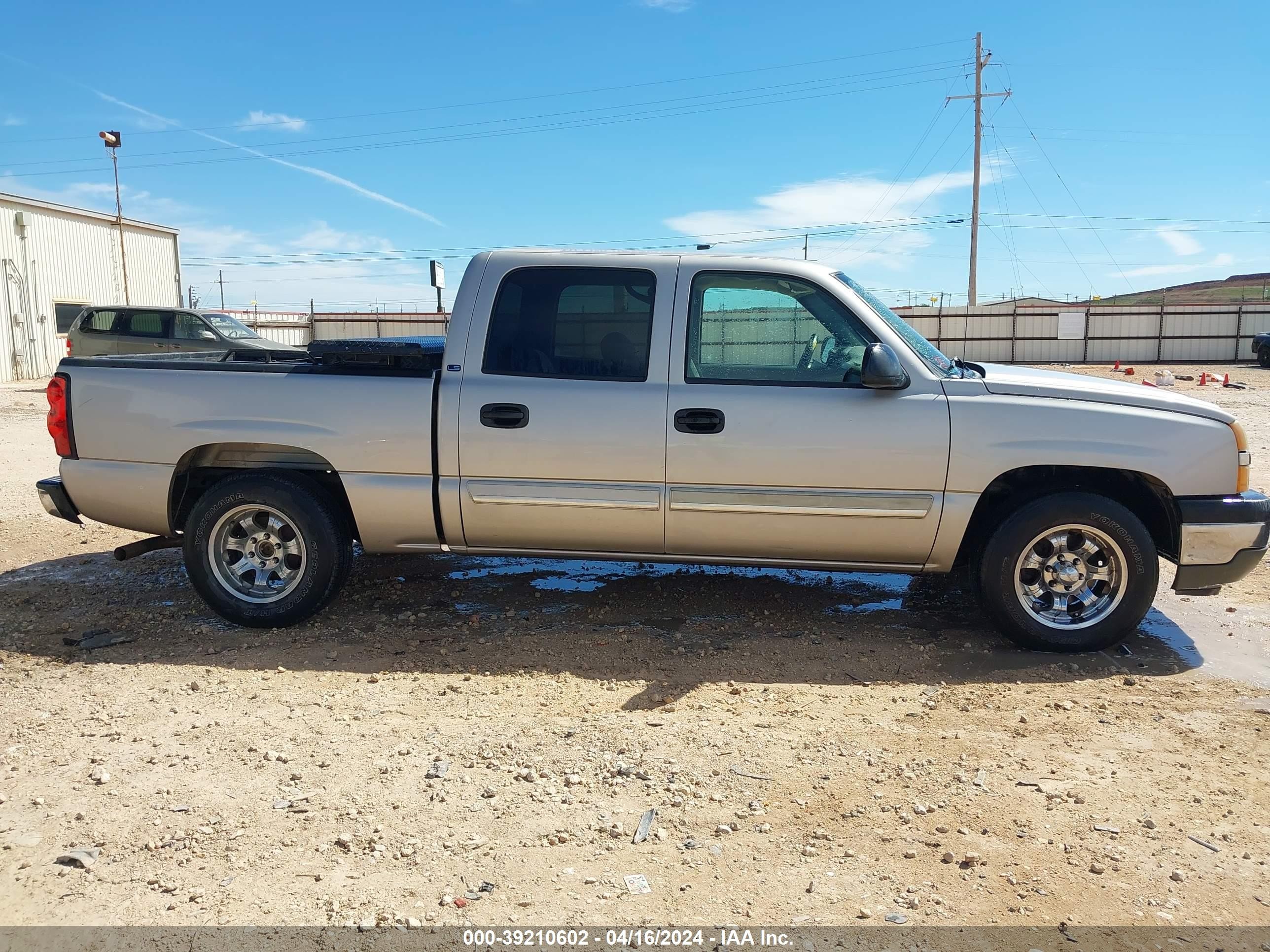 Photo 12 VIN: 2GCEC13T251223290 - CHEVROLET SILVERADO 