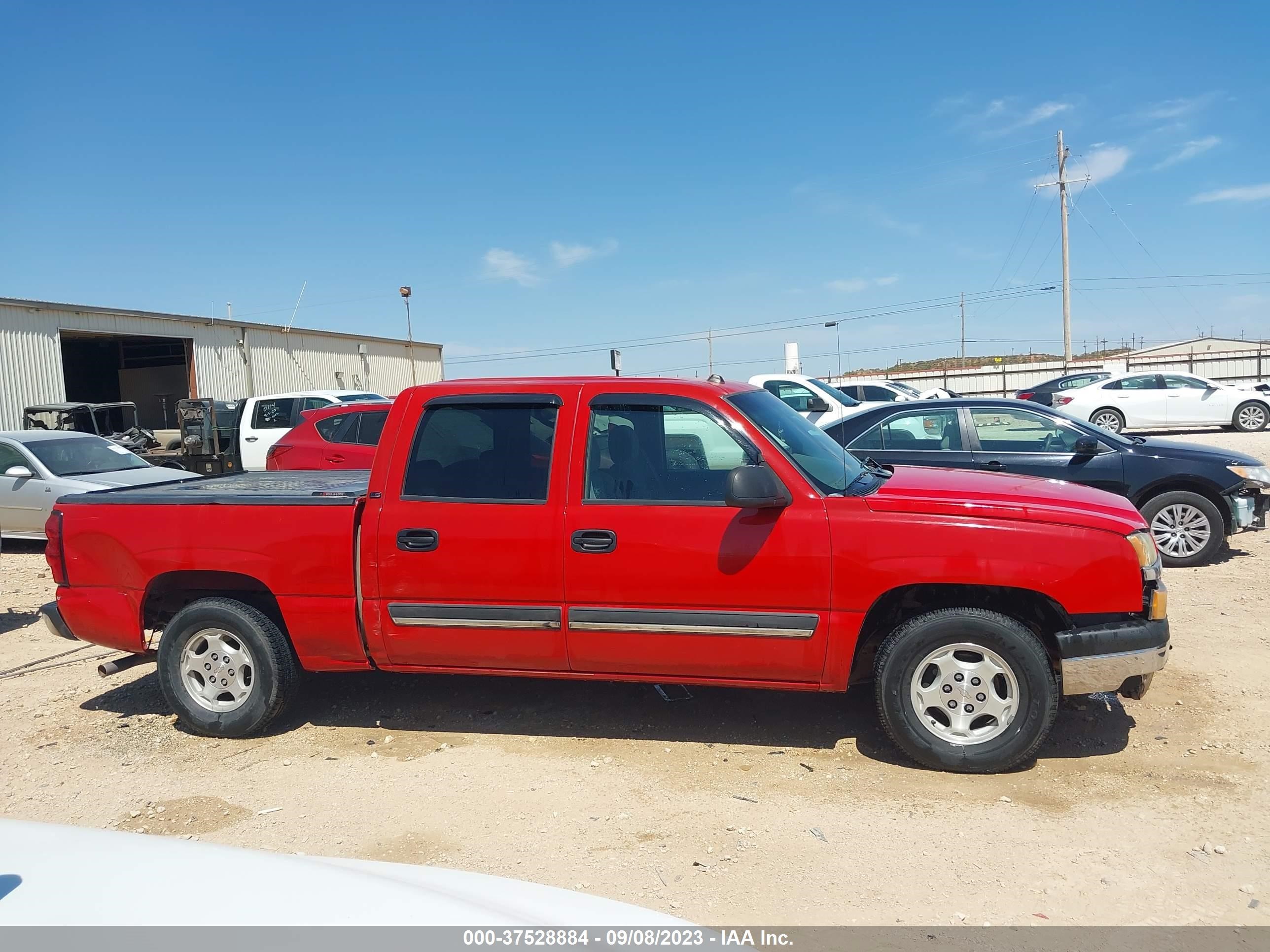 Photo 13 VIN: 2GCEC13T441308159 - CHEVROLET SILVERADO 