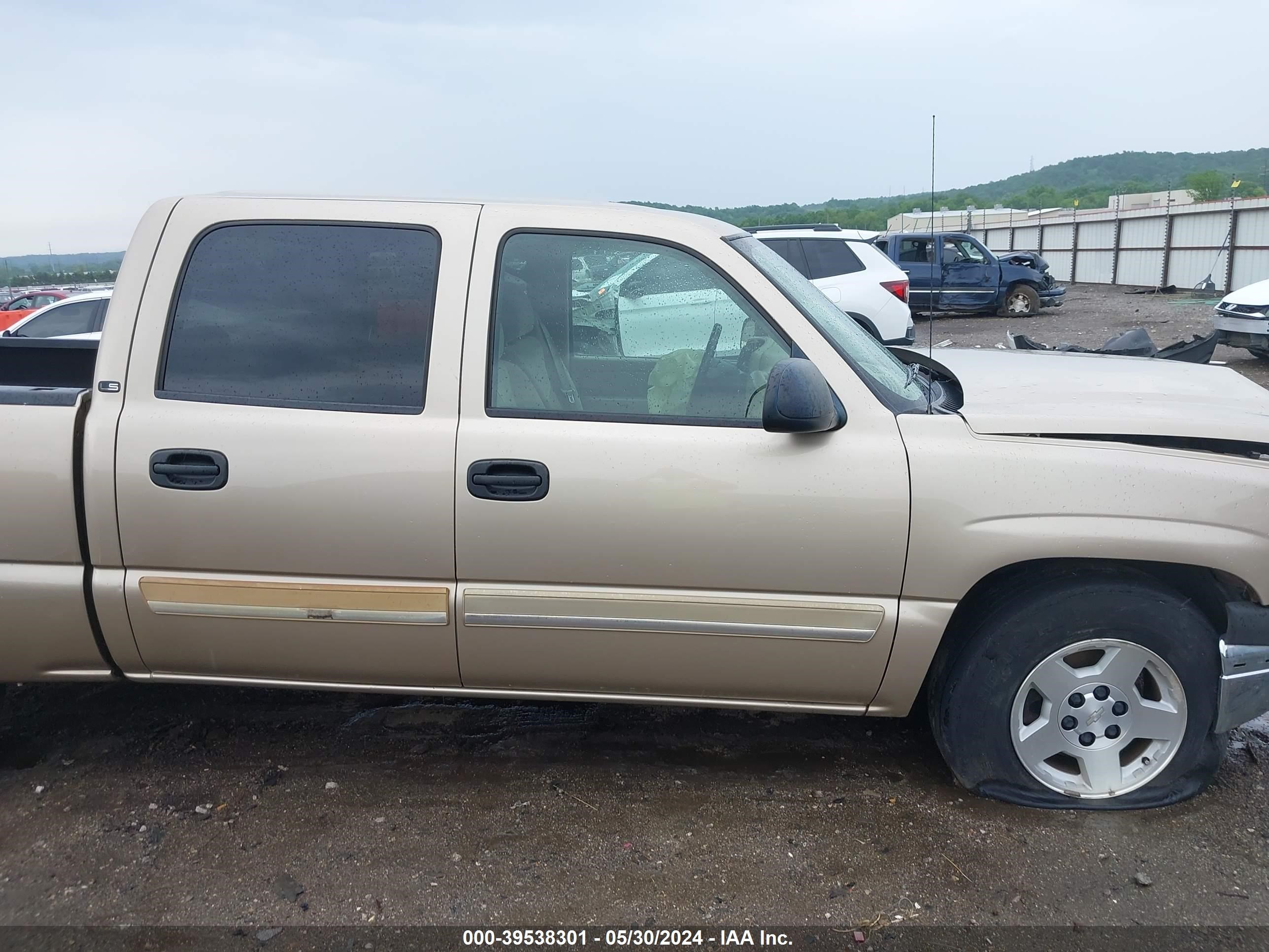 Photo 12 VIN: 2GCEC13T651206637 - CHEVROLET SILVERADO 