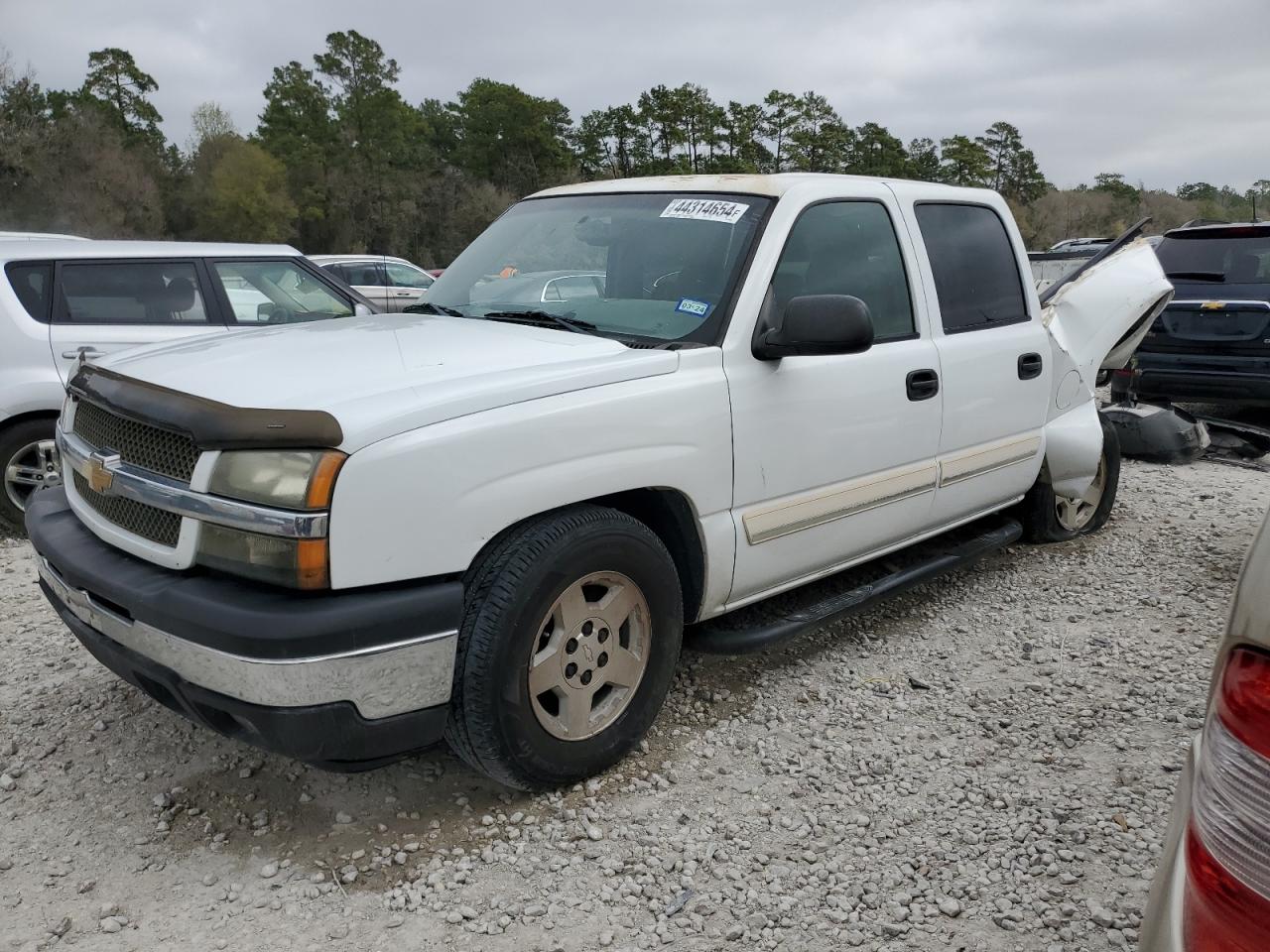 Photo 0 VIN: 2GCEC13T651305054 - CHEVROLET SILVERADO 