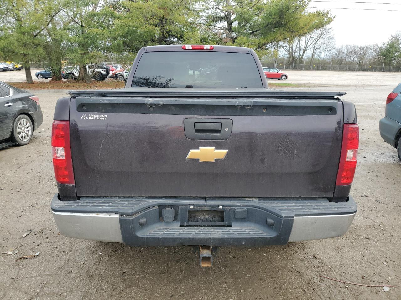 Photo 5 VIN: 2GCEC290791119113 - CHEVROLET SILVERADO 