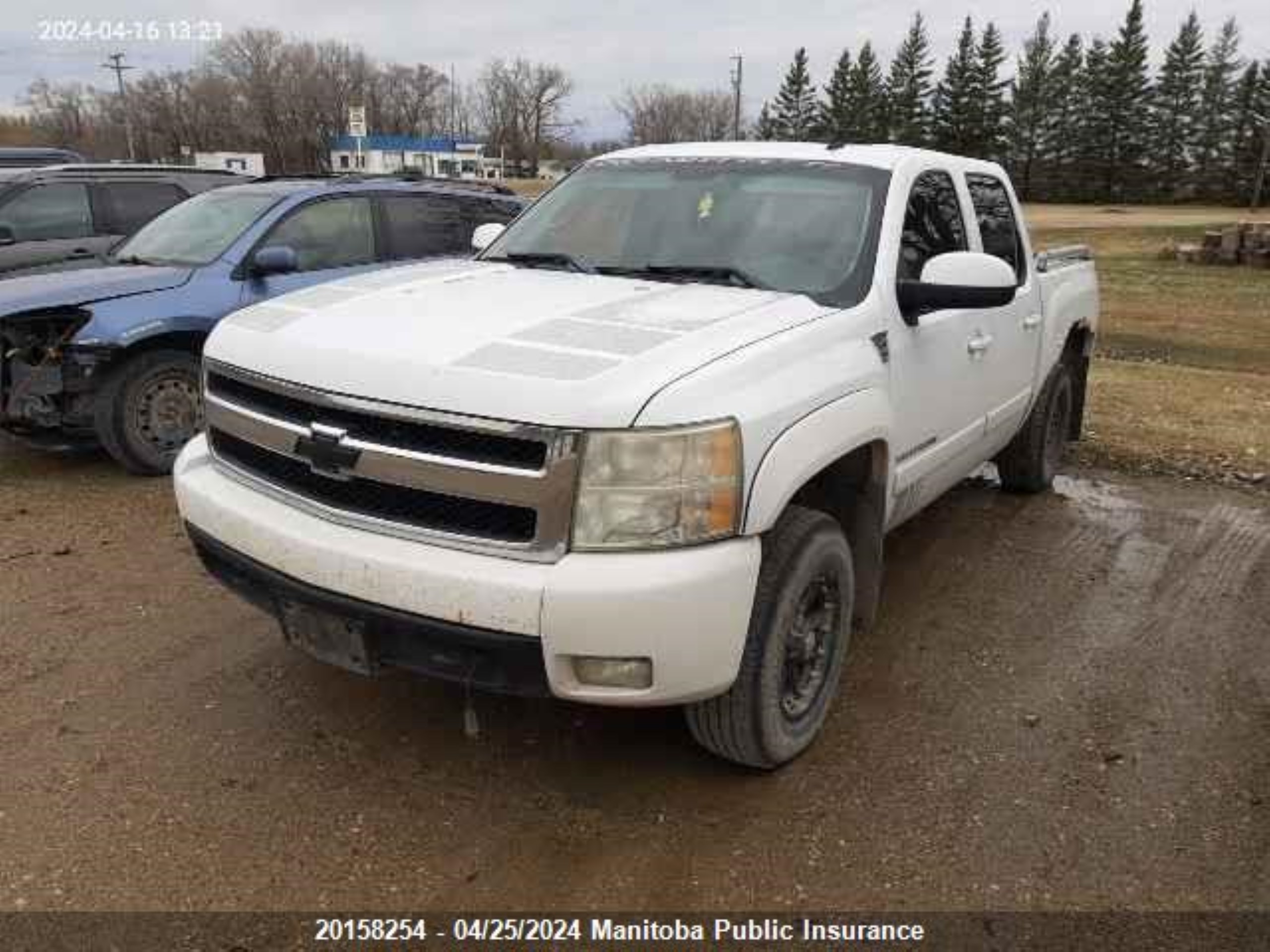 Photo 1 VIN: 2GCEK133981305976 - CHEVROLET NULL 