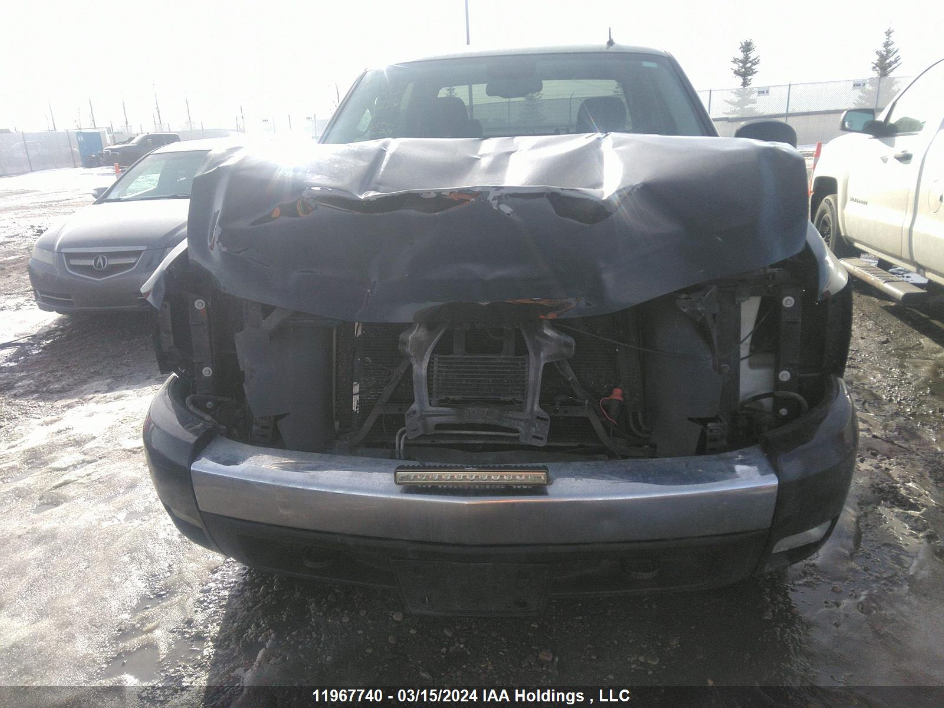 Photo 12 VIN: 2GCEK13C671690041 - CHEVROLET SILVERADO 