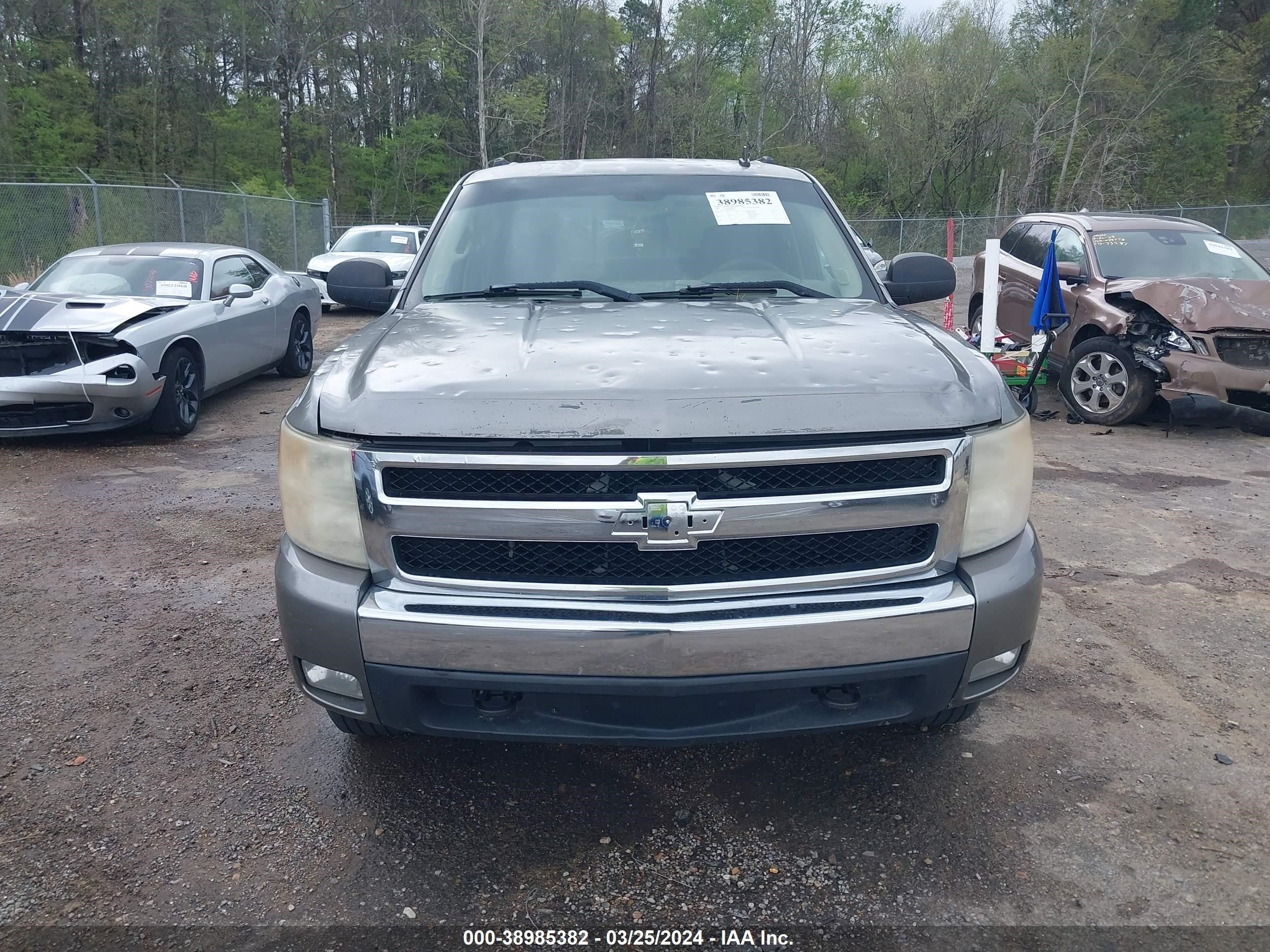 Photo 12 VIN: 2GCEK13M581206919 - CHEVROLET SILVERADO 