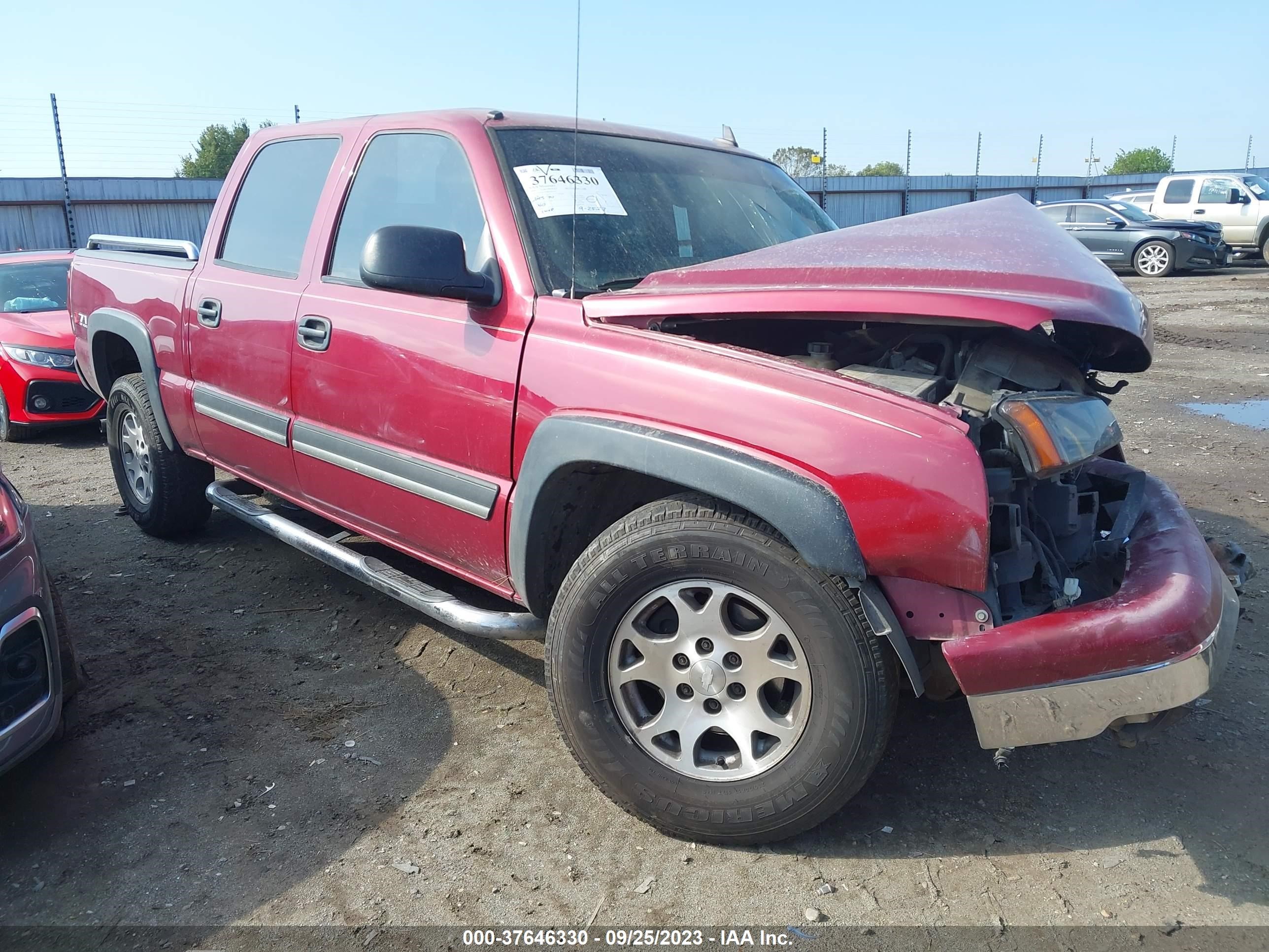 Photo 12 VIN: 2GCEK13T461103236 - CHEVROLET SILVERADO 