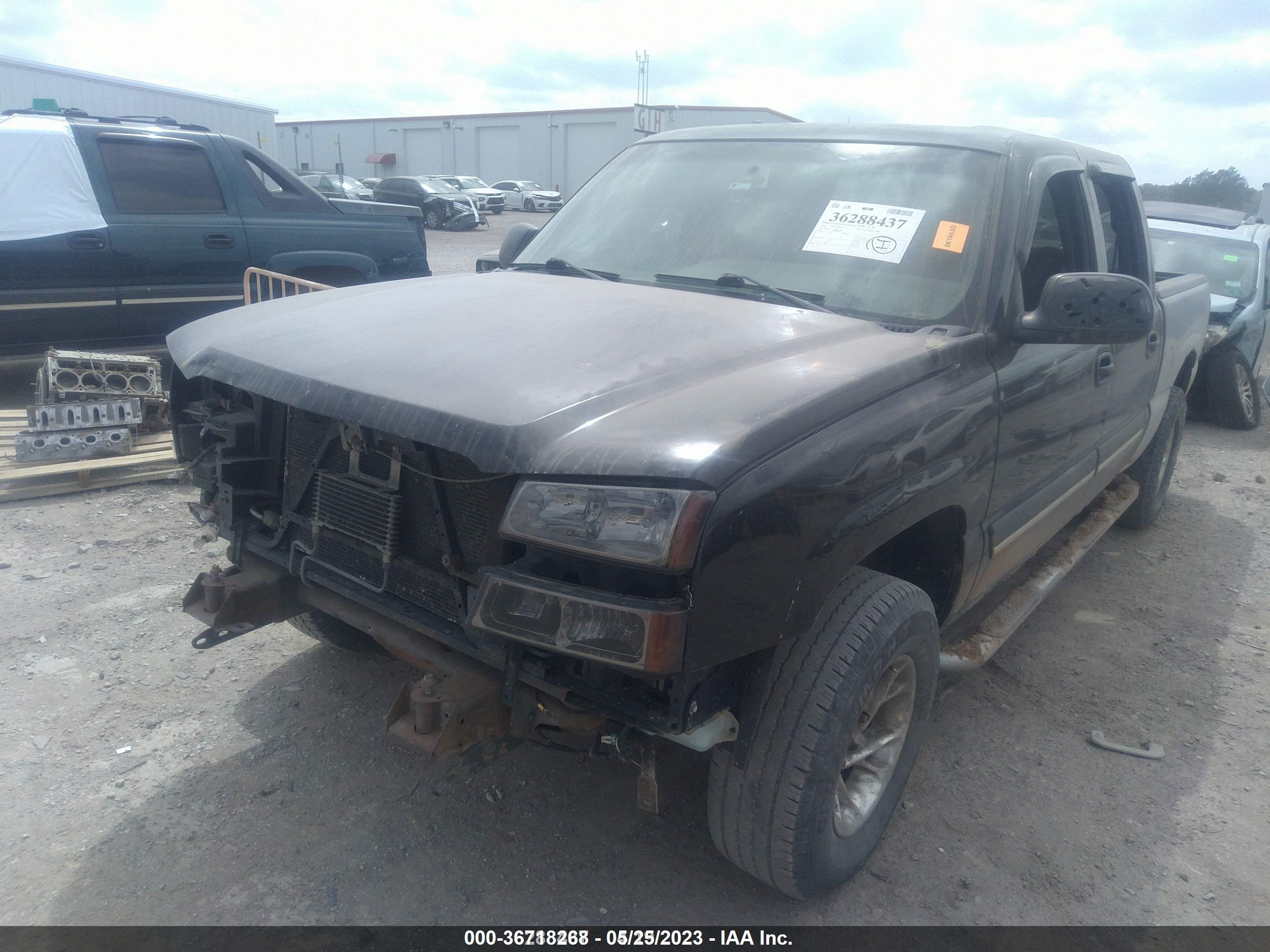 Photo 5 VIN: 2GCEK13T641412882 - CHEVROLET SILVERADO 