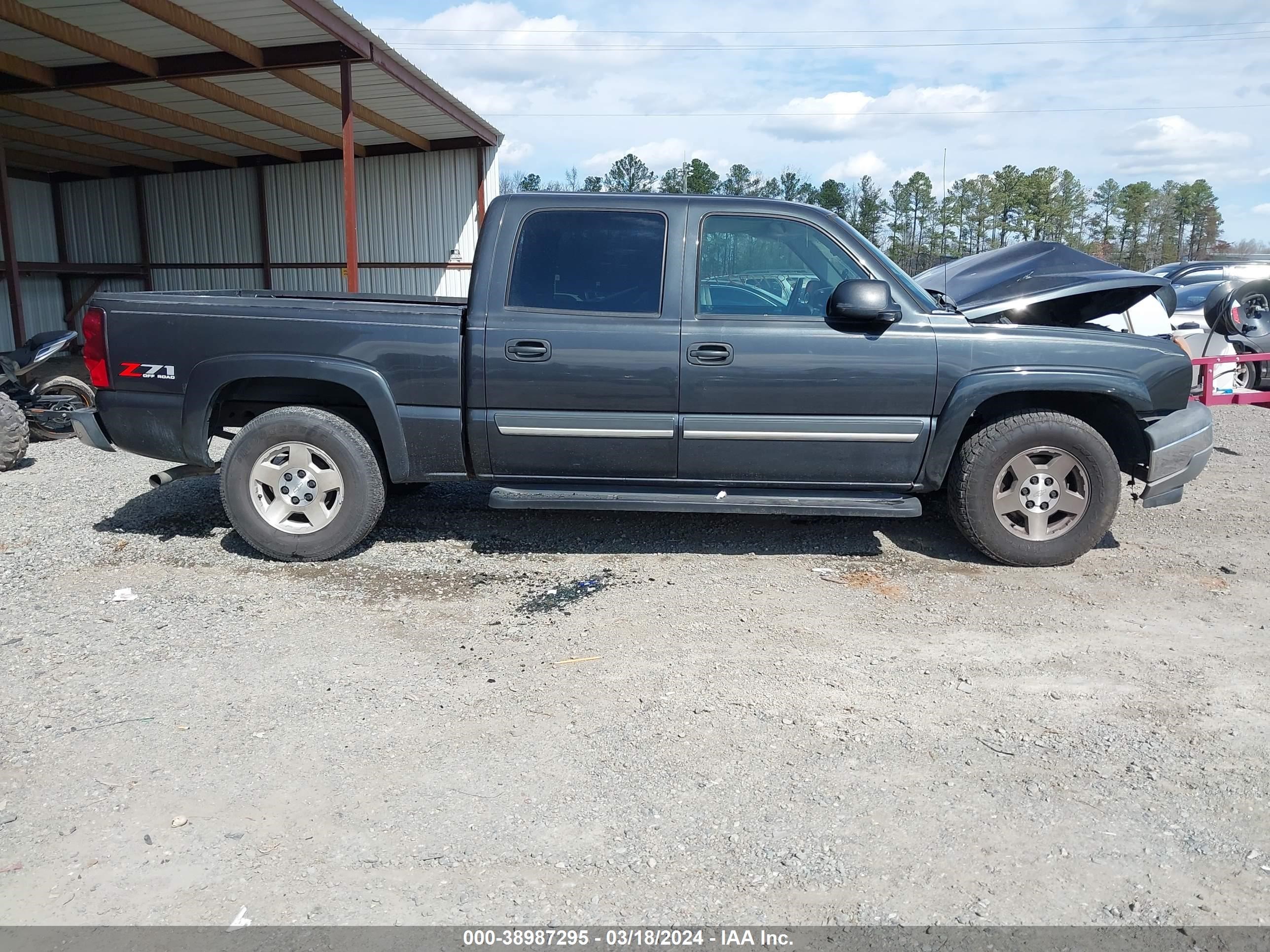 Photo 12 VIN: 2GCEK13T651271555 - CHEVROLET SILVERADO 