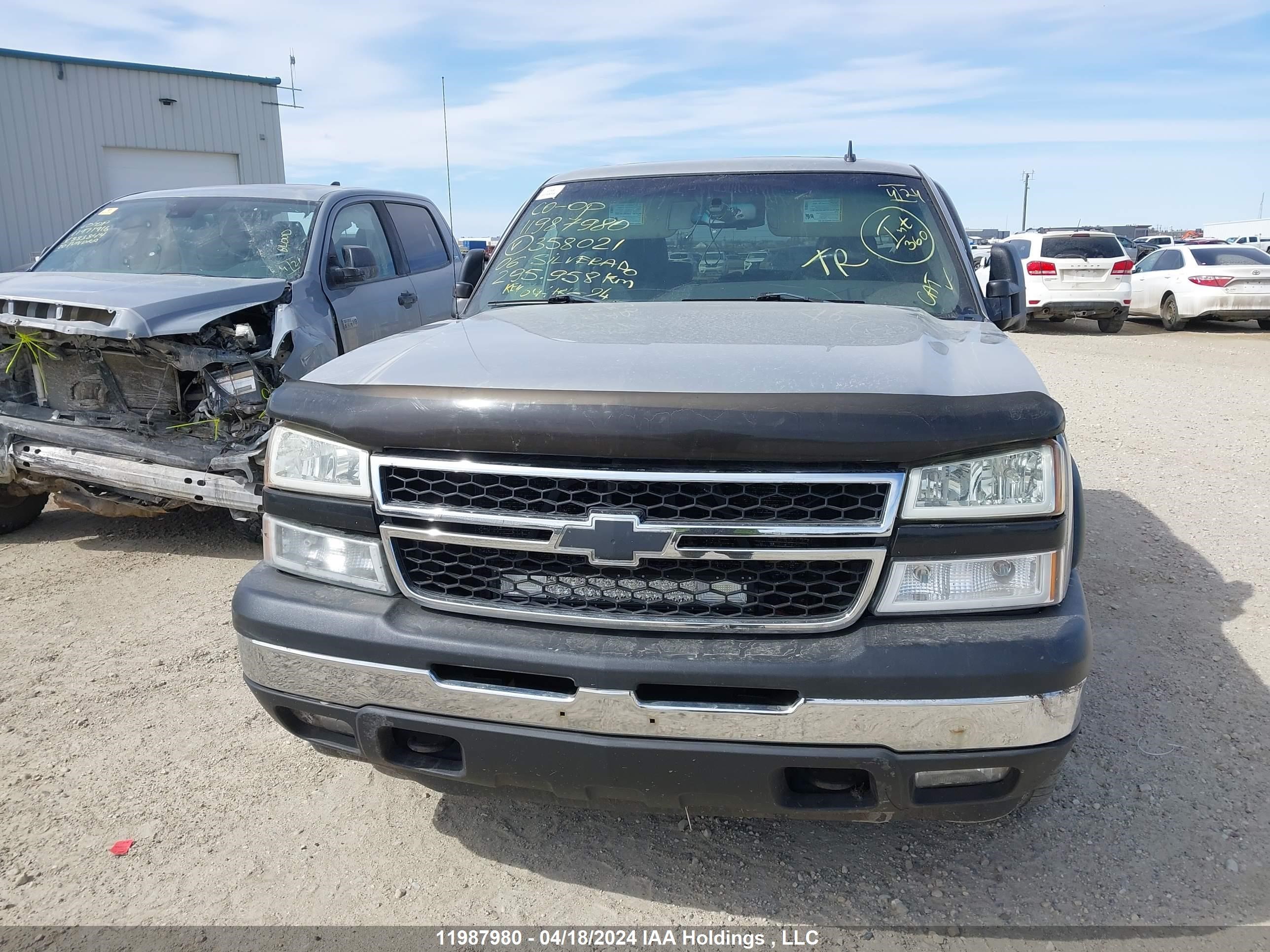 Photo 12 VIN: 2GCEK13T861358021 - CHEVROLET SILVERADO 