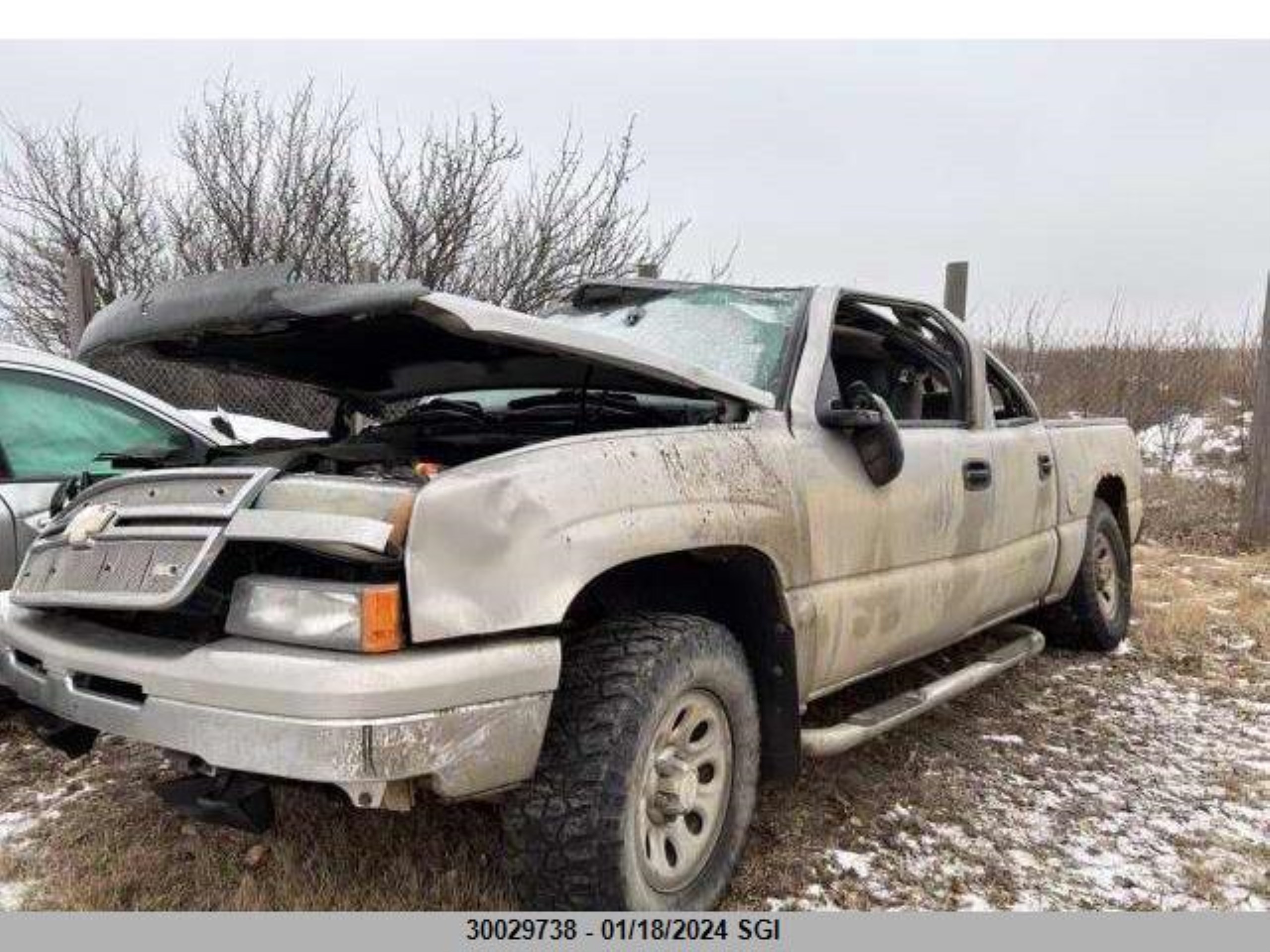 Photo 1 VIN: 2GCEK13V171151201 - CHEVROLET SILVERADO 