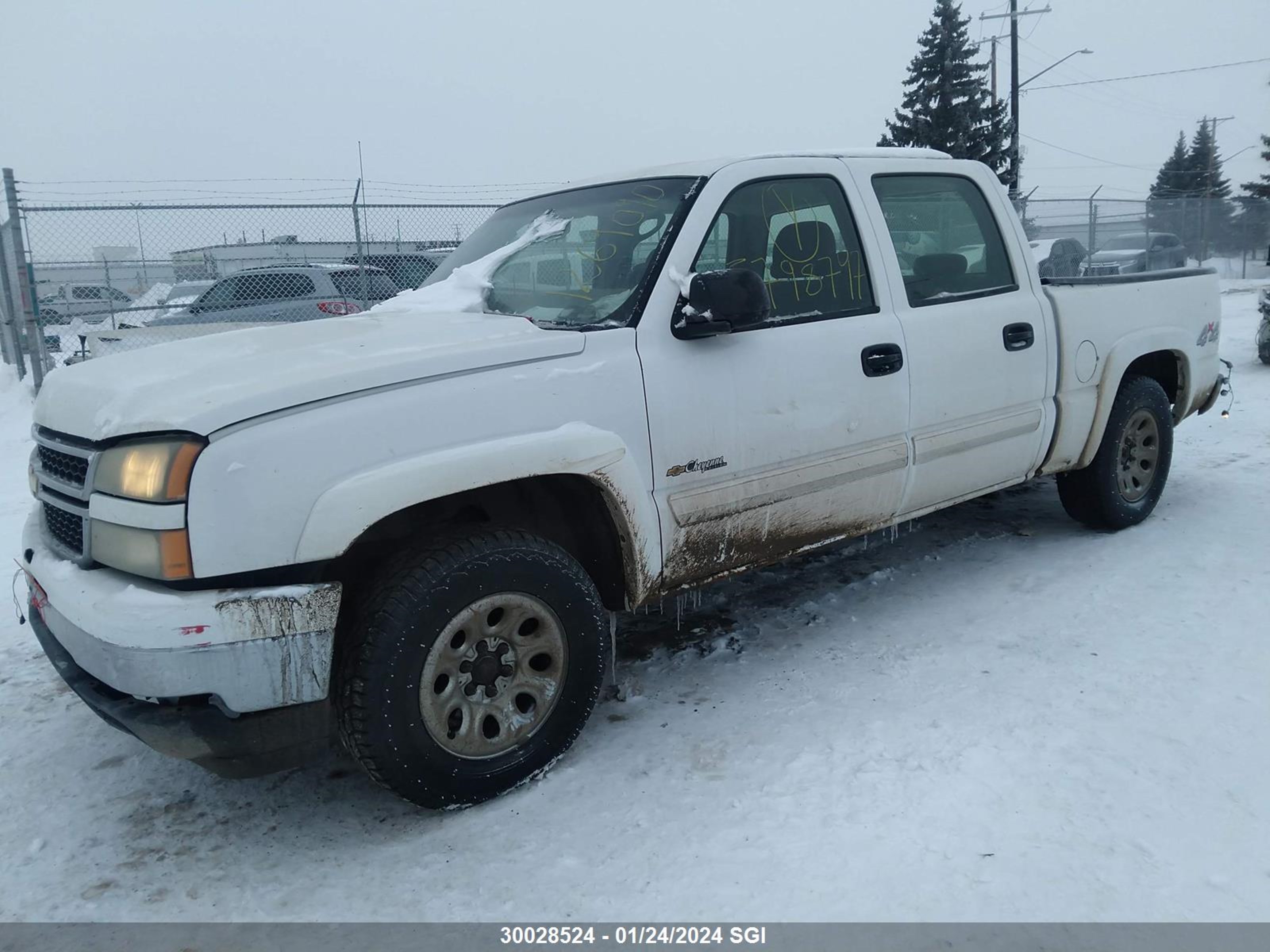 Photo 1 VIN: 2GCEK13V461264090 - CHEVROLET SILVERADO 