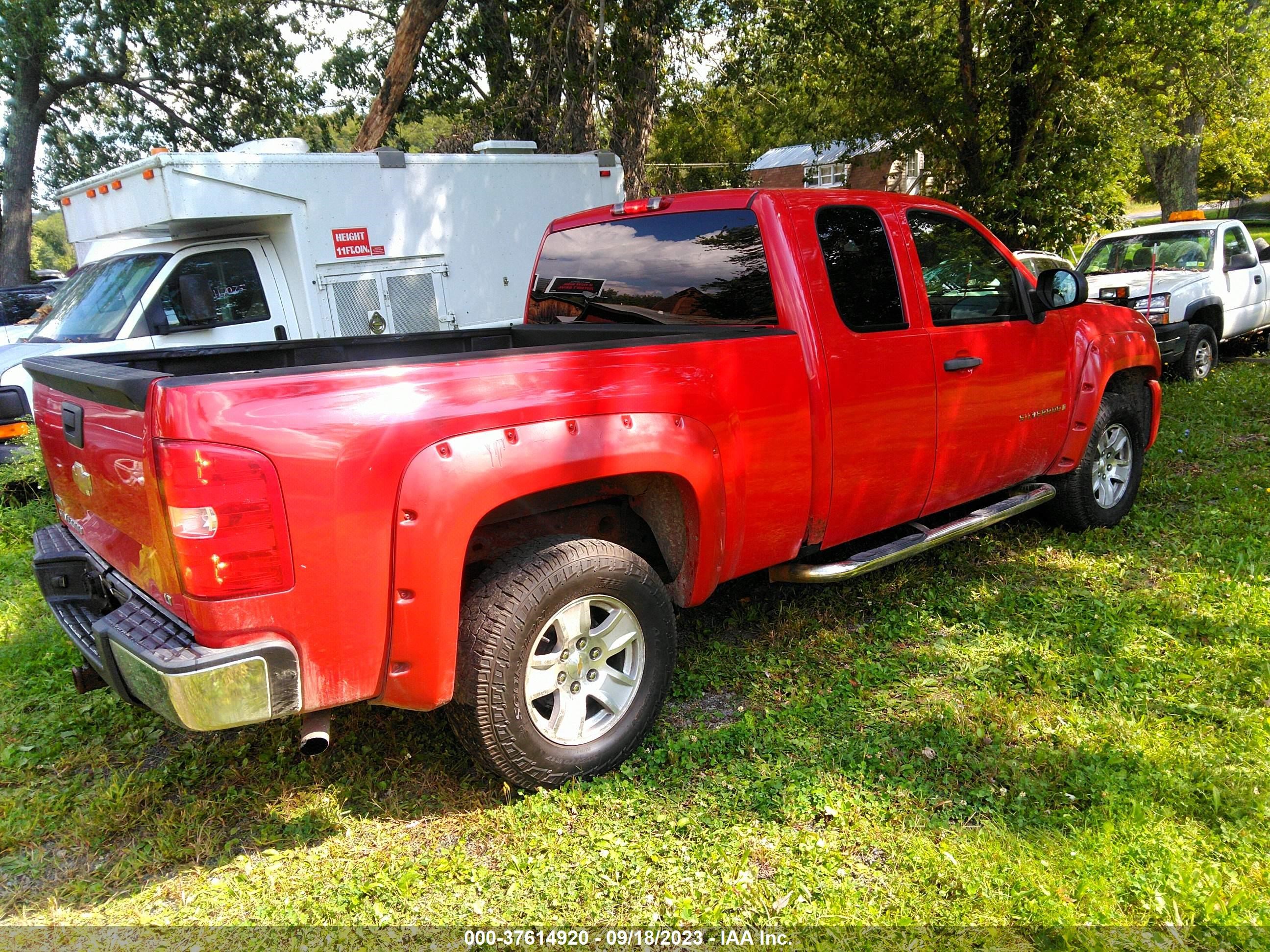 Photo 3 VIN: 2GCEK190681319556 - CHEVROLET SILVERADO 