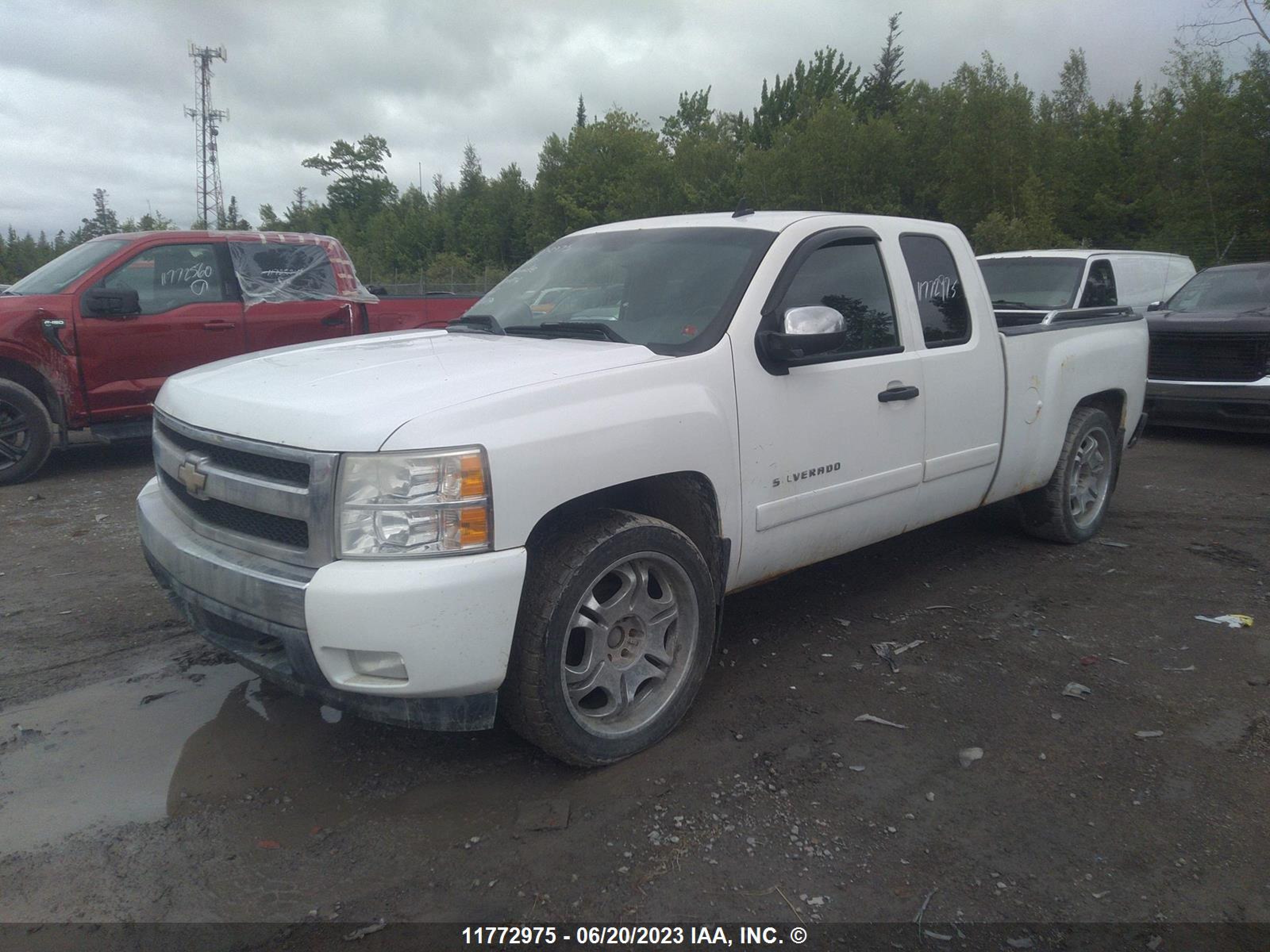 Photo 1 VIN: 2GCEK19J871570814 - CHEVROLET SILVERADO 