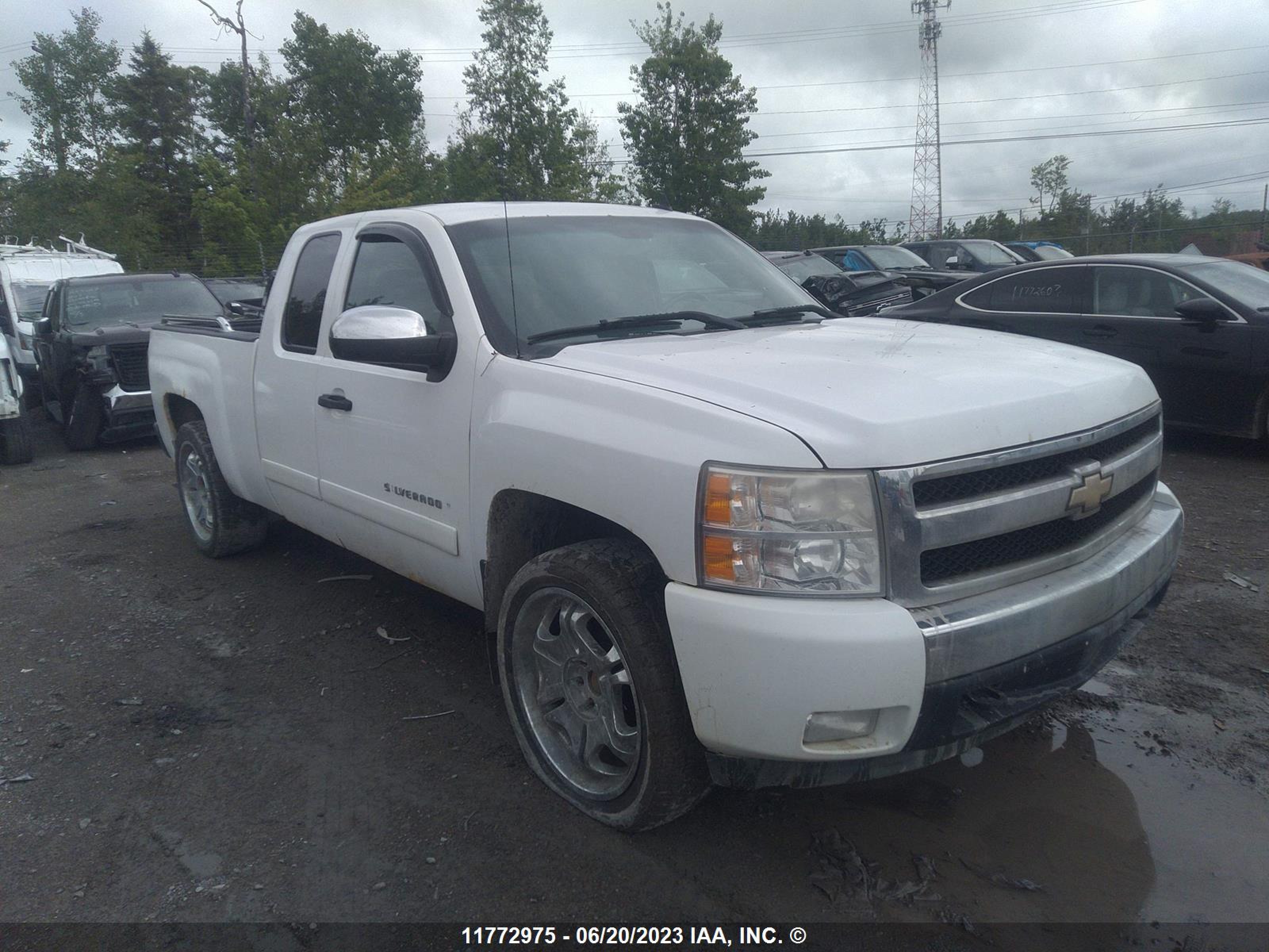 Photo 5 VIN: 2GCEK19J871570814 - CHEVROLET SILVERADO 