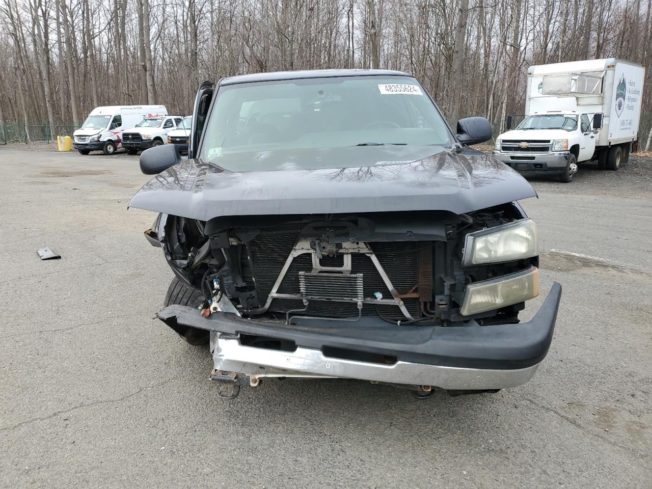 Photo 4 VIN: 2GCEK19T441299246 - CHEVROLET SILVERADO 