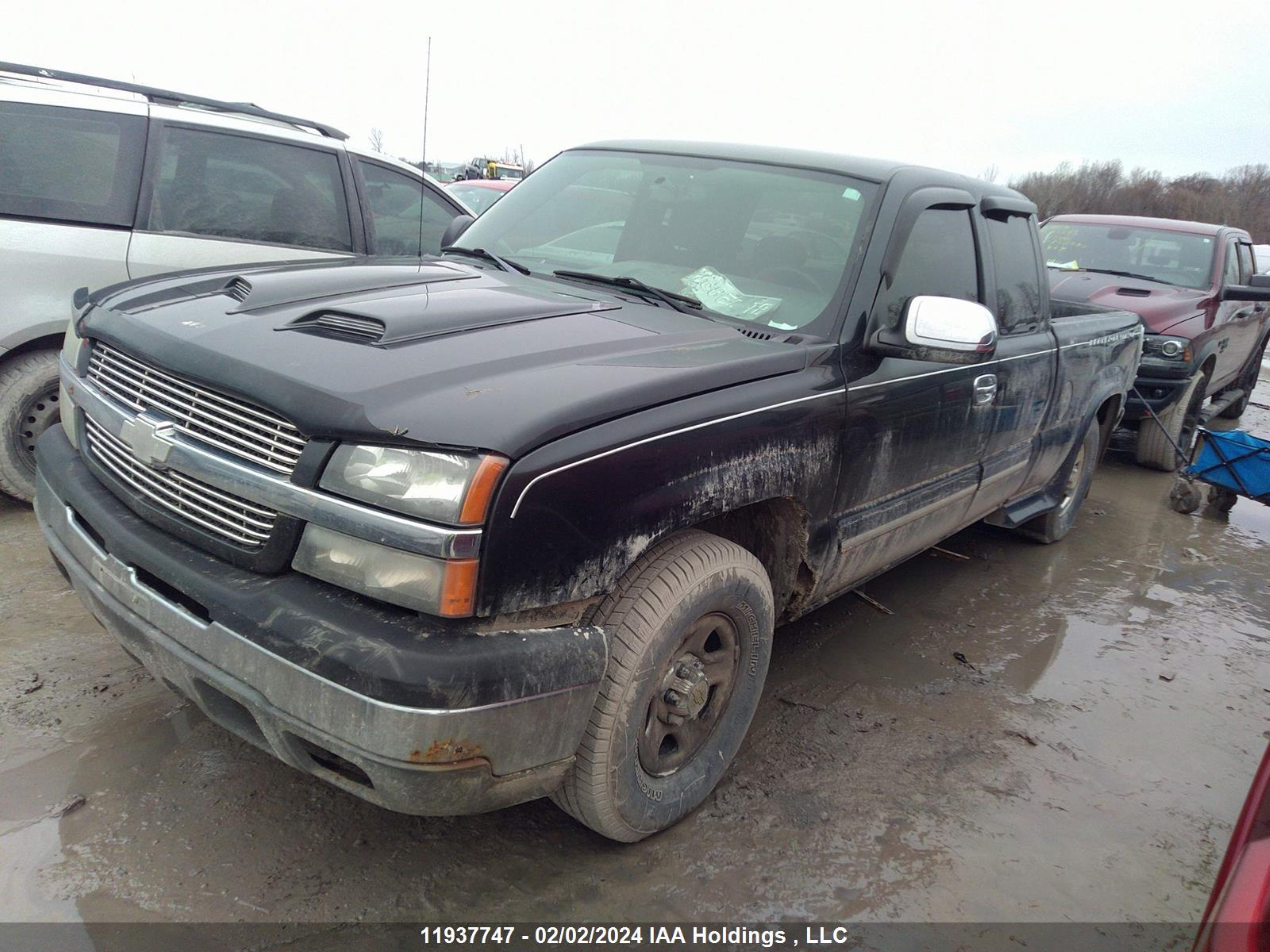 Photo 1 VIN: 2GCEK19V341352326 - CHEVROLET SILVERADO 