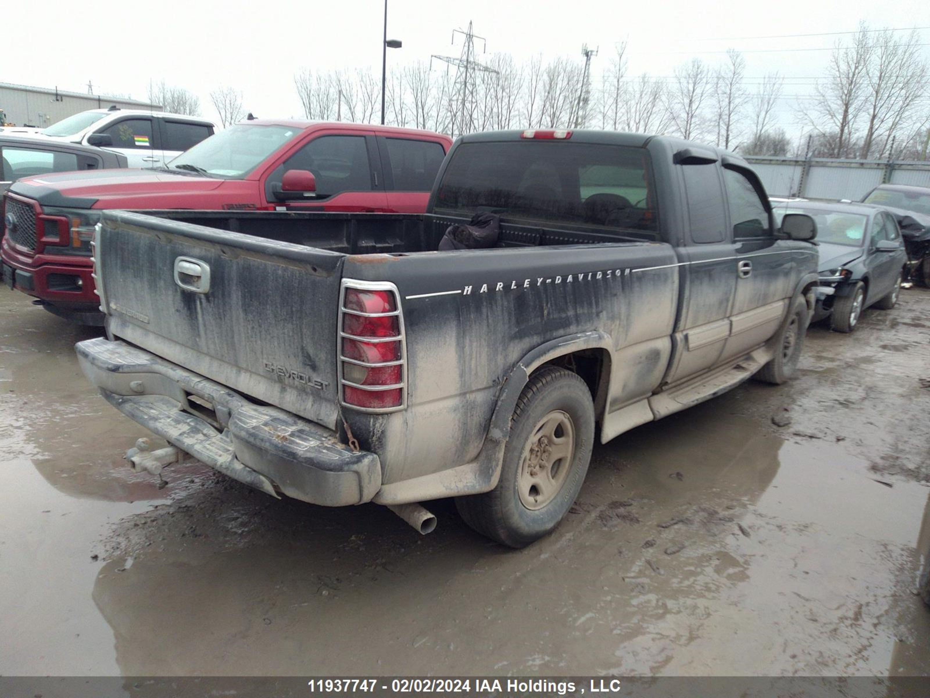 Photo 3 VIN: 2GCEK19V341352326 - CHEVROLET SILVERADO 