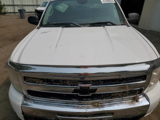 Photo 10 VIN: 2GCEK290391111786 - CHEVROLET SILVERADO 