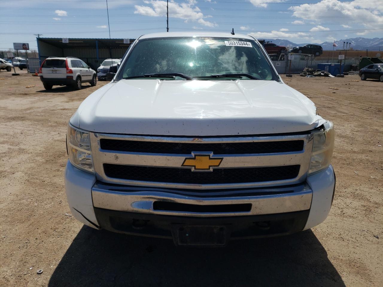 Photo 4 VIN: 2GCEK290691129425 - CHEVROLET SILVERADO 