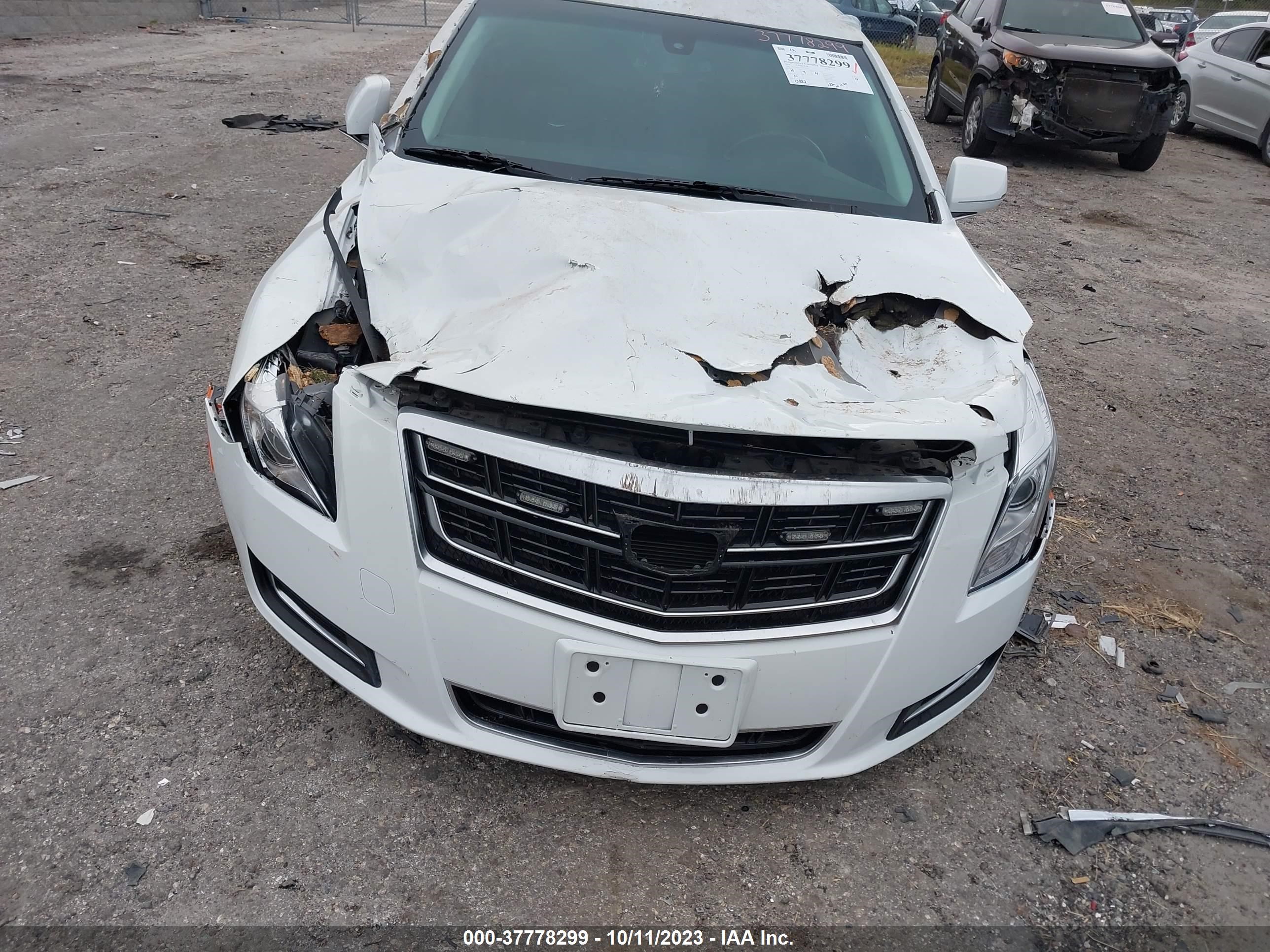 Photo 5 VIN: 2GEXG6U36G9550103 - CADILLAC XTS LIMOUS 