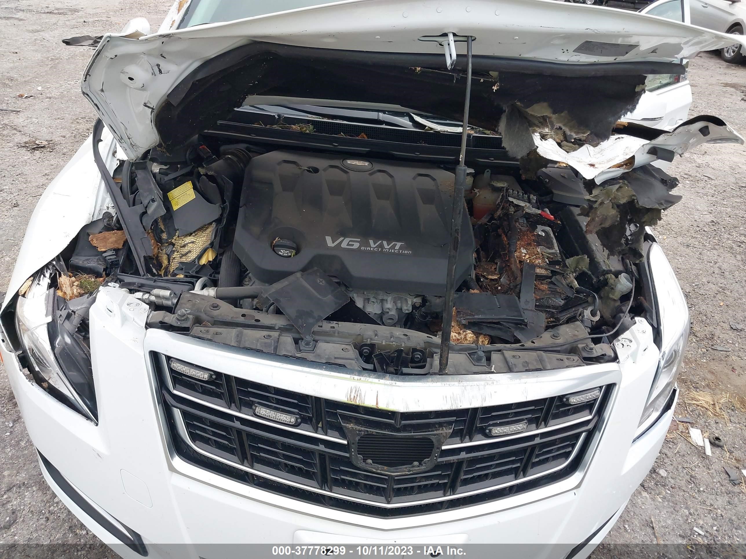 Photo 9 VIN: 2GEXG6U36G9550103 - CADILLAC XTS LIMOUS 