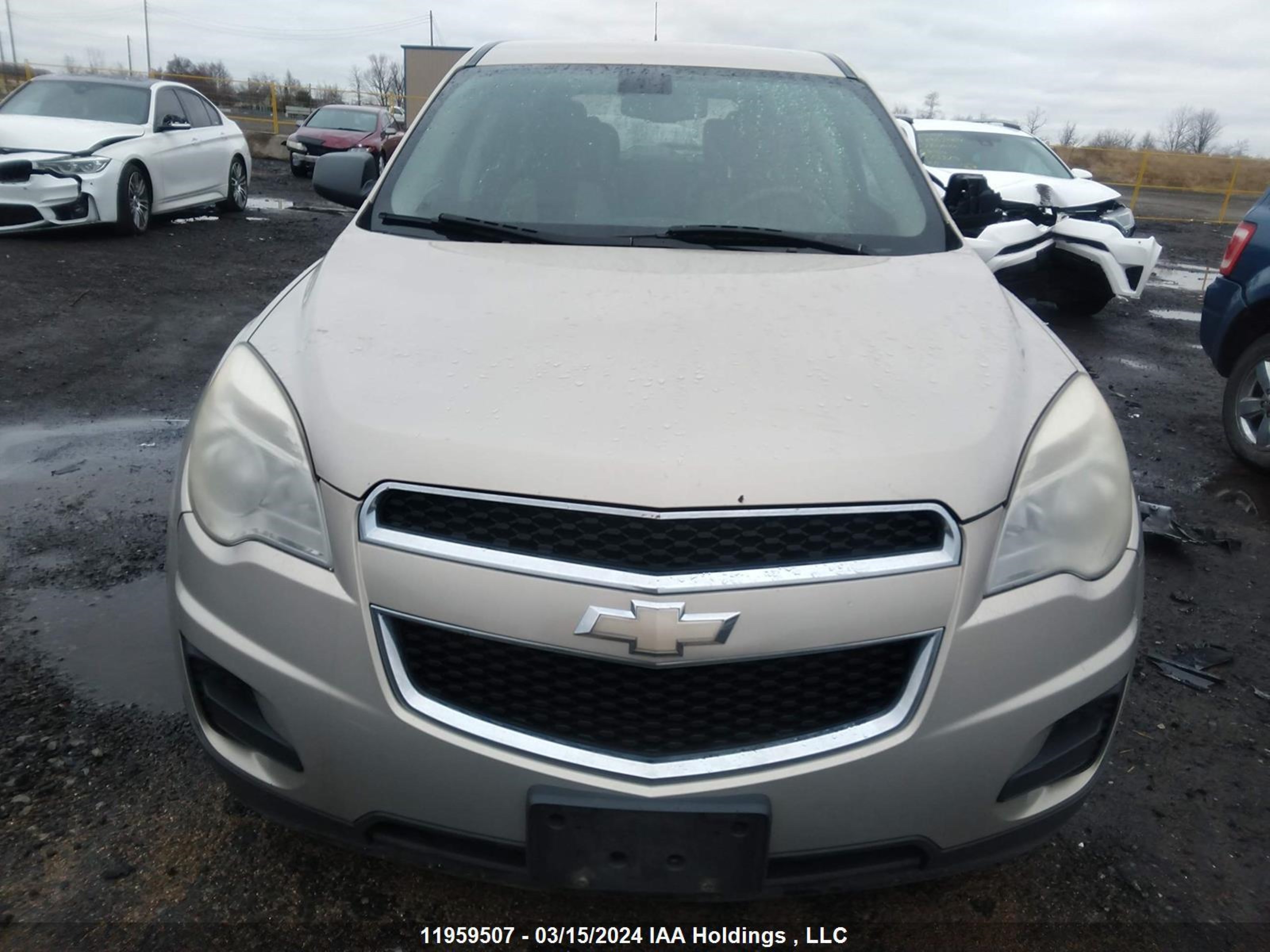 Photo 11 VIN: 2GNALBEC1B1234950 - CHEVROLET EQUINOX 