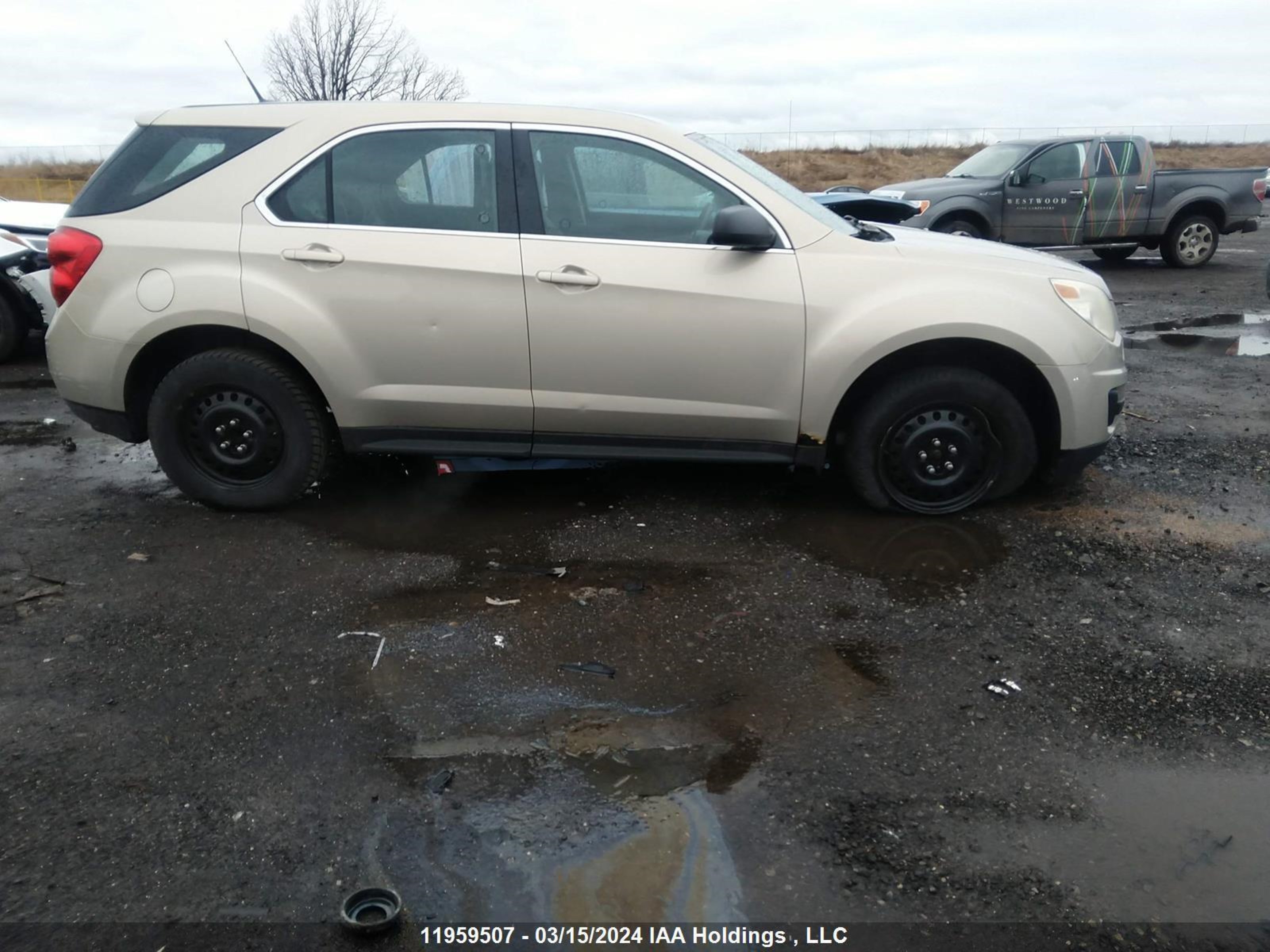 Photo 12 VIN: 2GNALBEC1B1234950 - CHEVROLET EQUINOX 