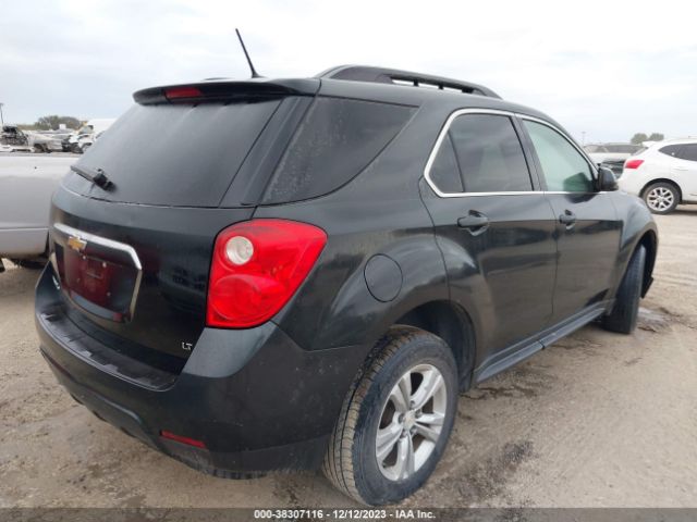 Photo 3 VIN: 2GNALBEK1E6169970 - CHEVROLET EQUINOX 