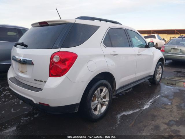 Photo 3 VIN: 2GNALBEK1E6276663 - CHEVROLET EQUINOX 