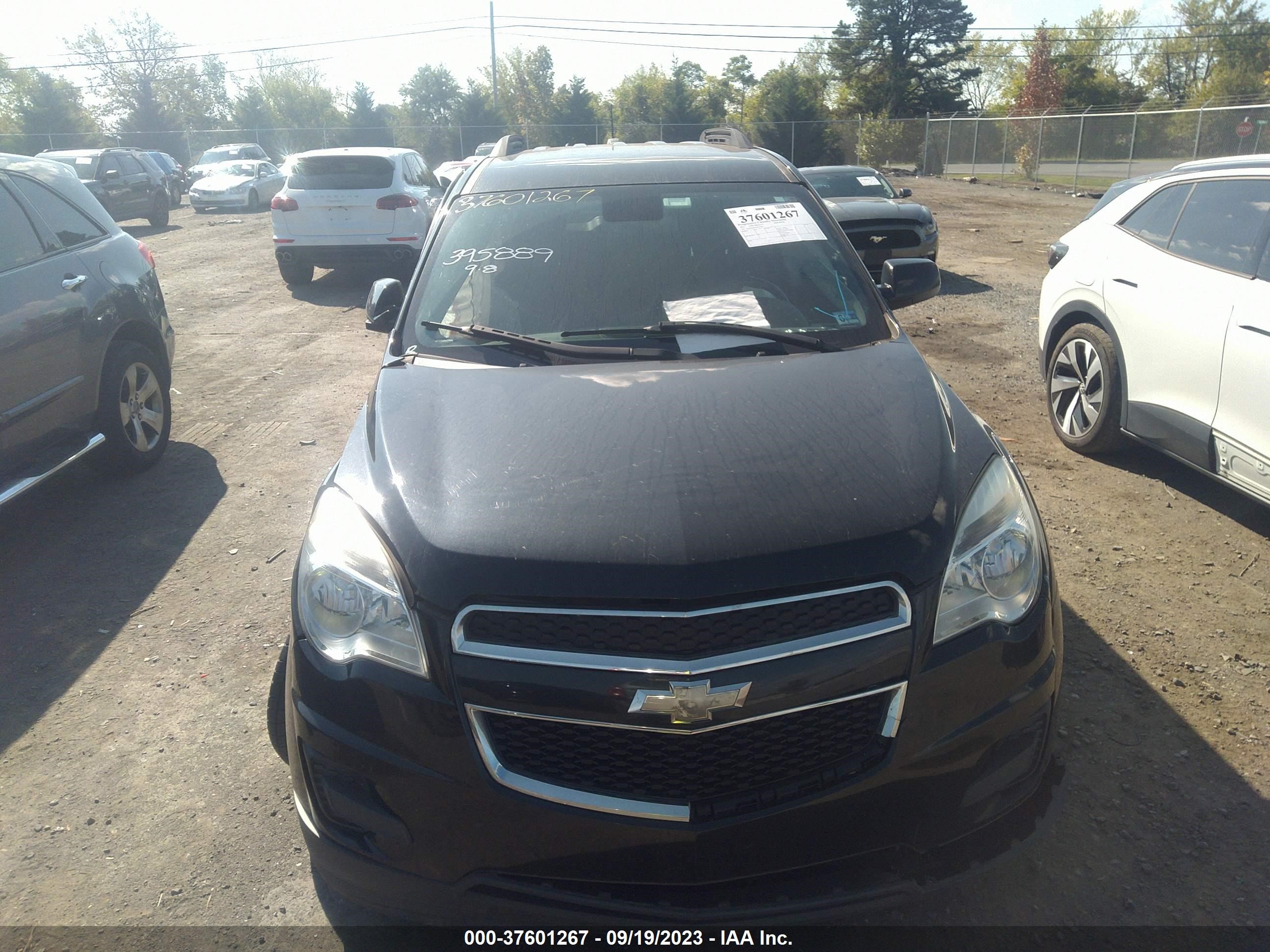 Photo 10 VIN: 2GNALBEK2F6157764 - CHEVROLET EQUINOX 