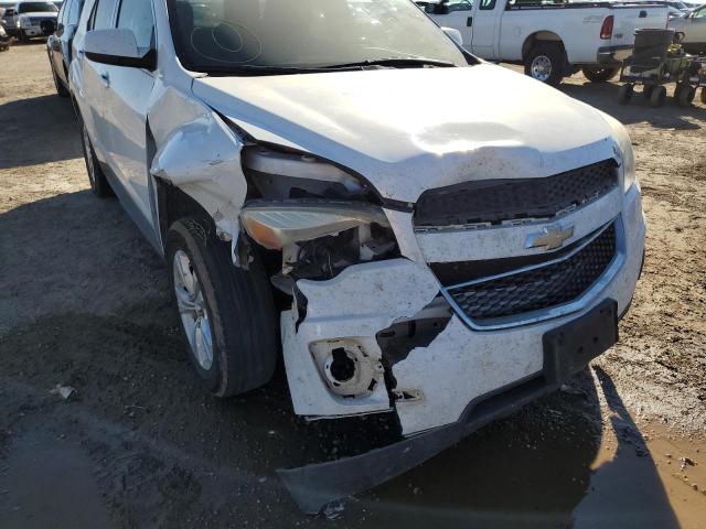 Photo 8 VIN: 2GNALBEK5F6107781 - CHEVROLET EQUINOX 