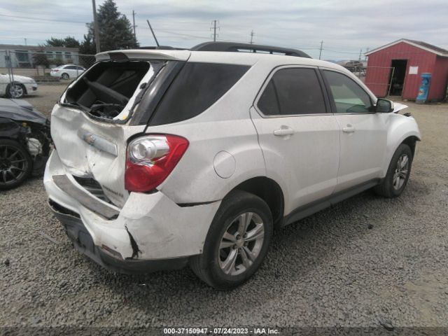 Photo 3 VIN: 2GNALBEK5F6255008 - CHEVROLET EQUINOX 