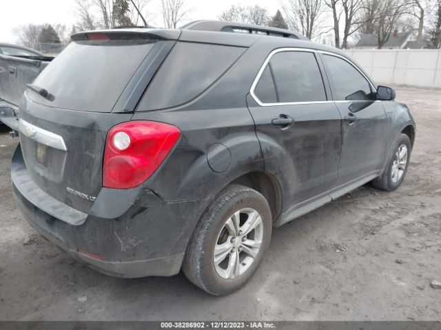 Photo 3 VIN: 2GNALBEK8E6364027 - CHEVROLET EQUINOX 