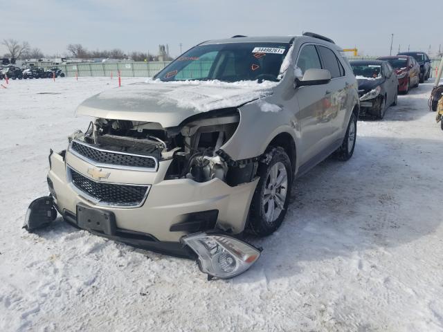 Photo 1 VIN: 2GNALBEK9E6351402 - CHEVROLET EQUINOX LT 