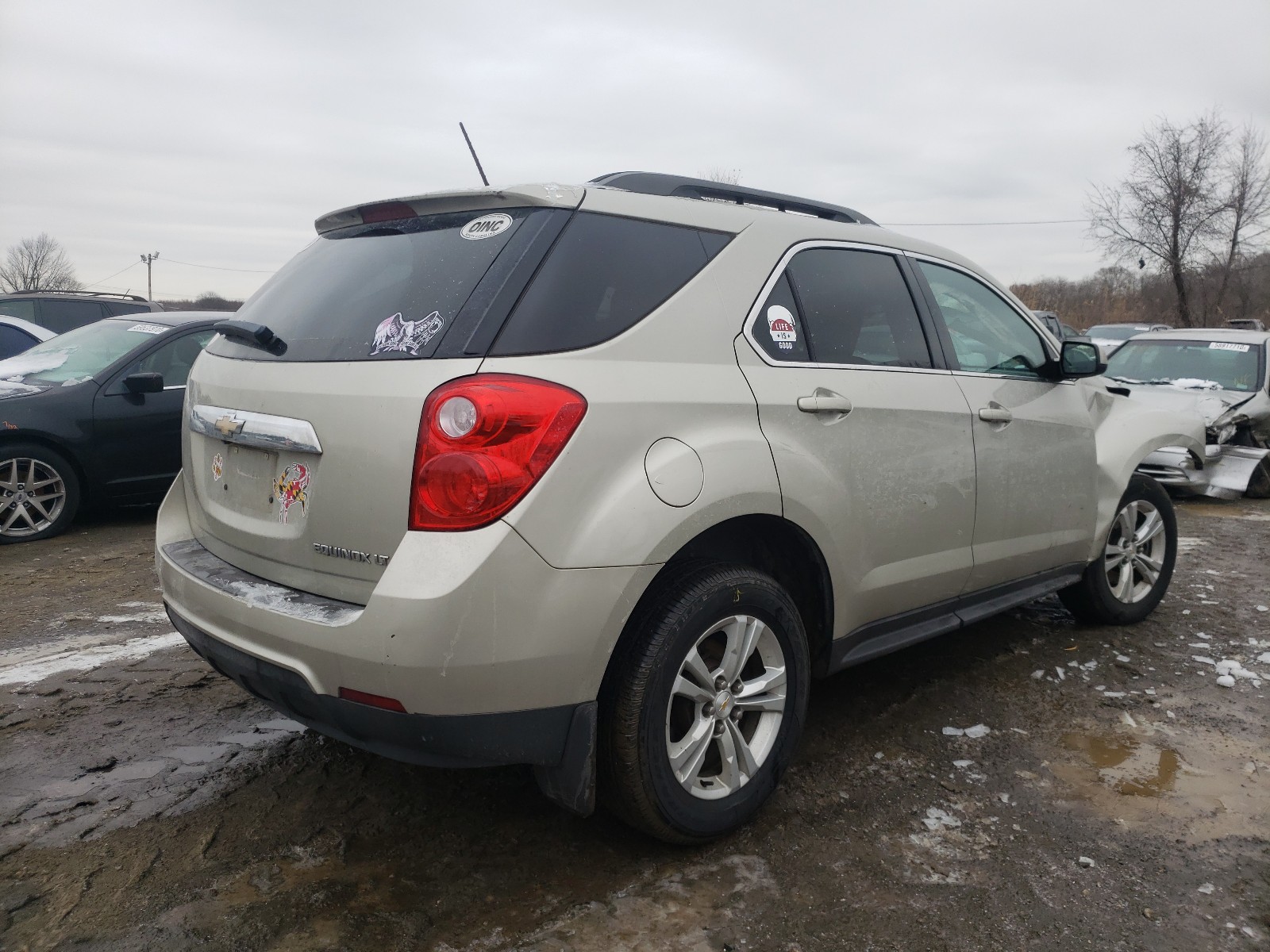 Photo 3 VIN: 2GNALBEK9F6350199 - CHEVROLET EQUINOX 