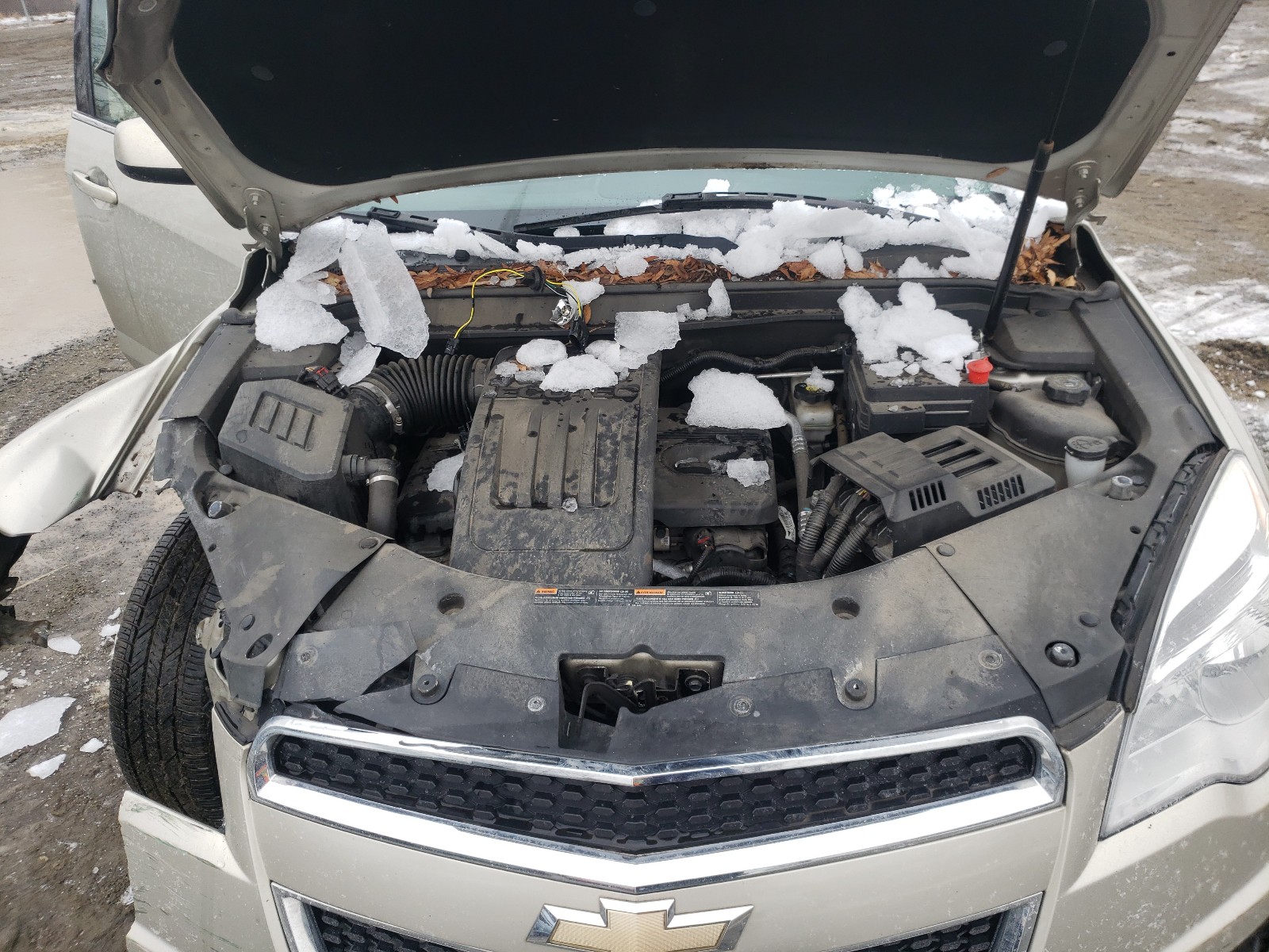 Photo 6 VIN: 2GNALBEK9F6350199 - CHEVROLET EQUINOX 