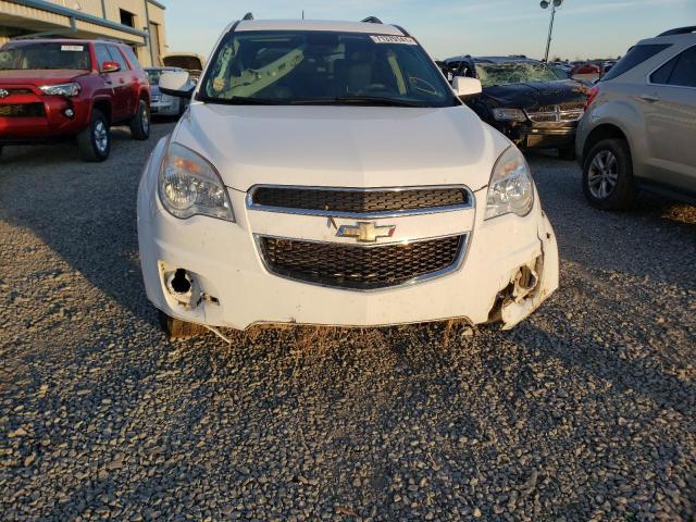 Photo 8 VIN: 2GNALBEK9F6404911 - CHEVROLET EQUINOX LT 