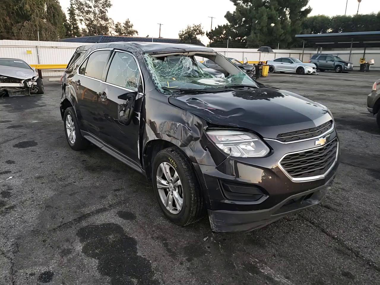 Photo 10 VIN: 2GNALBEK9G6326258 - CHEVROLET EQUINOX LS 