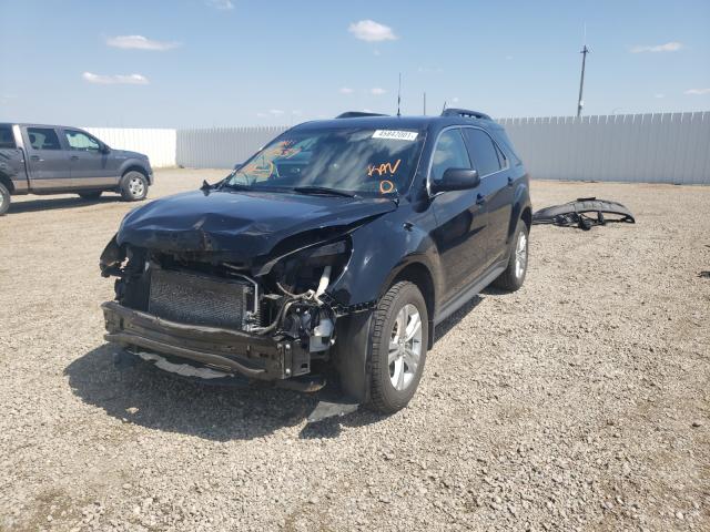 Photo 1 VIN: 2GNALBEKXE6177534 - CHEVROLET EQUINOX LT 